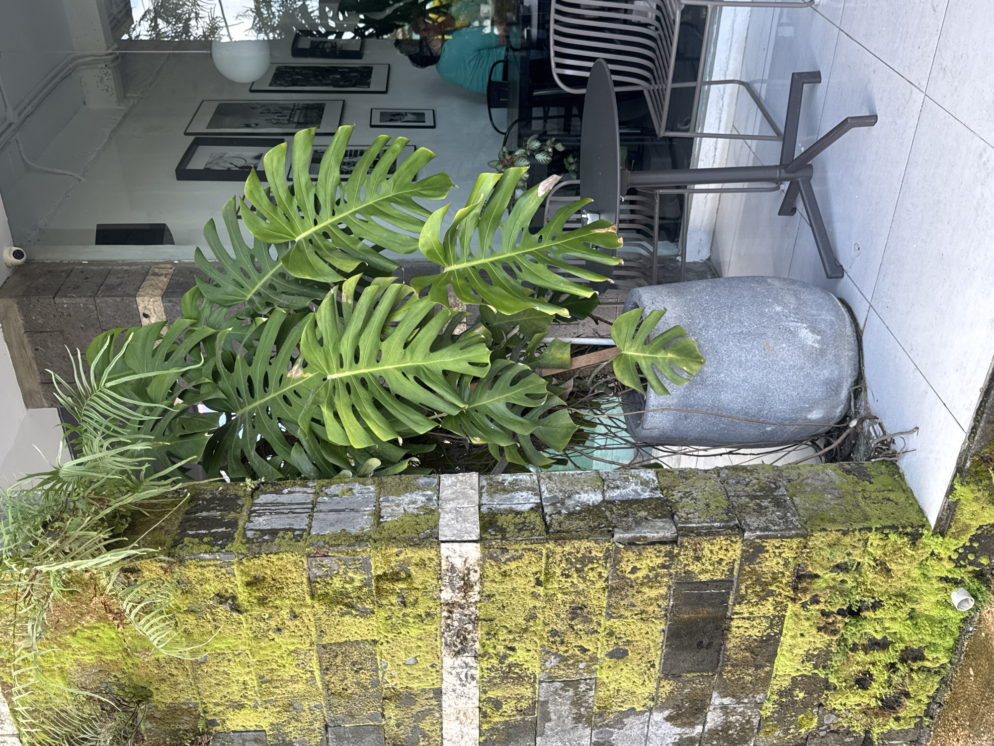 Morning breakfast documentation at Kuta Selatan cafe with tropical decor