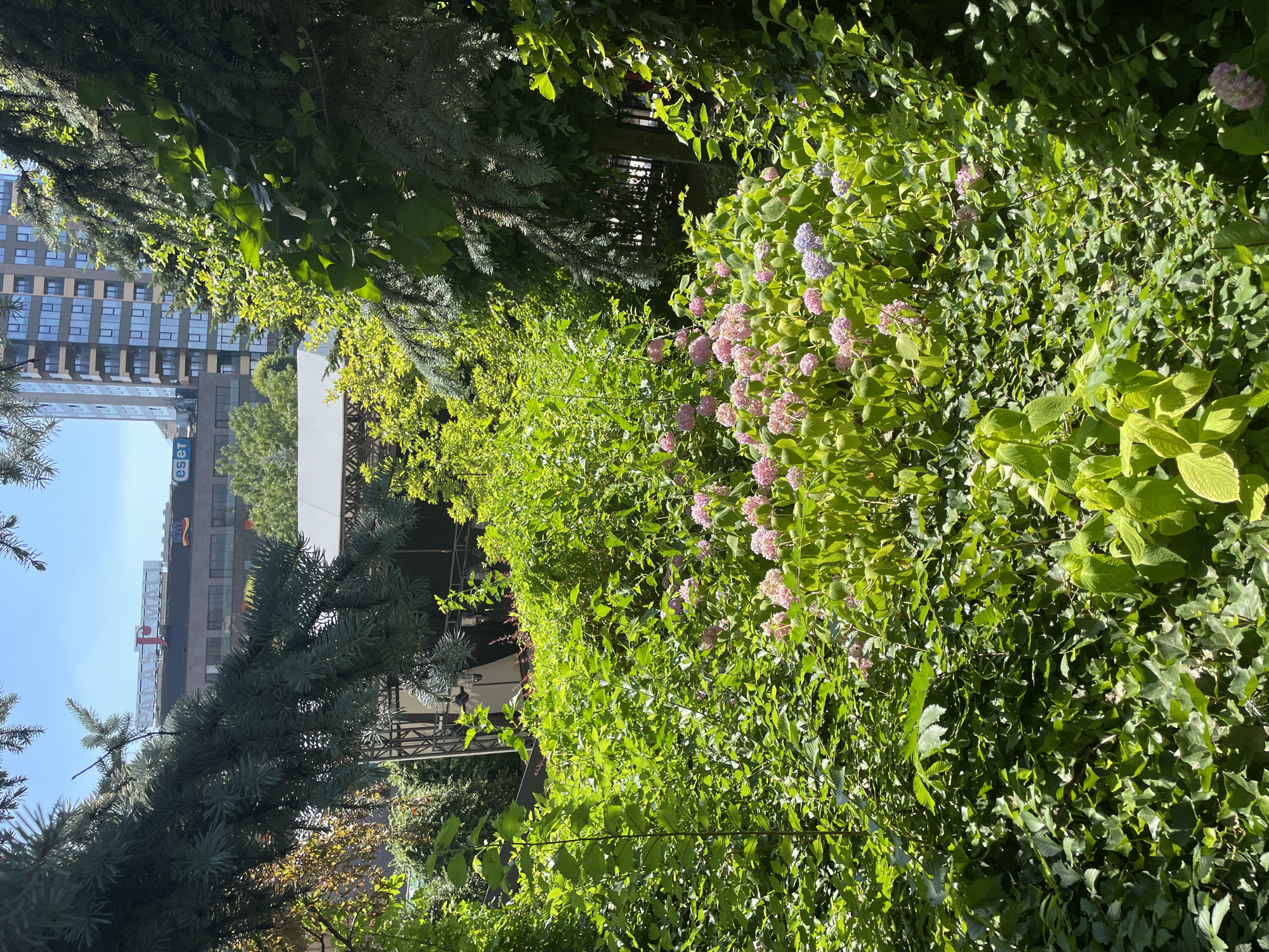 Summer morning around Iași's historic gardens and Palace of Culture