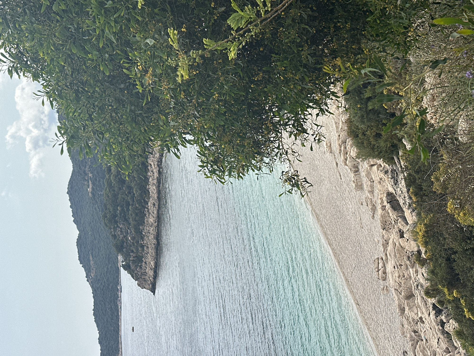 Coastal visit documented in Kaş, Turkey with scenic and botanical photography