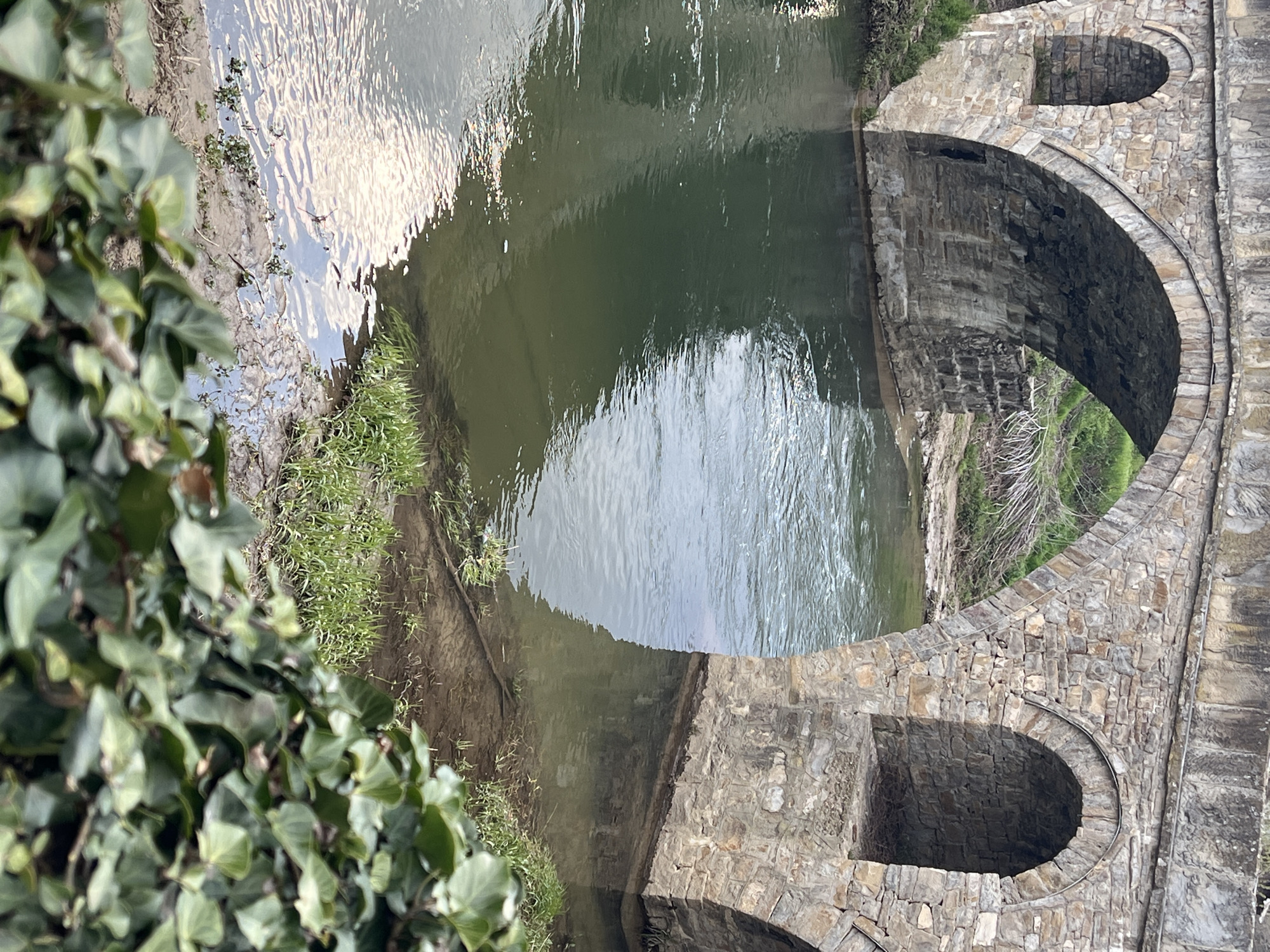 Historic stone bridge and riverside documented in Dryanovo, Bulgaria