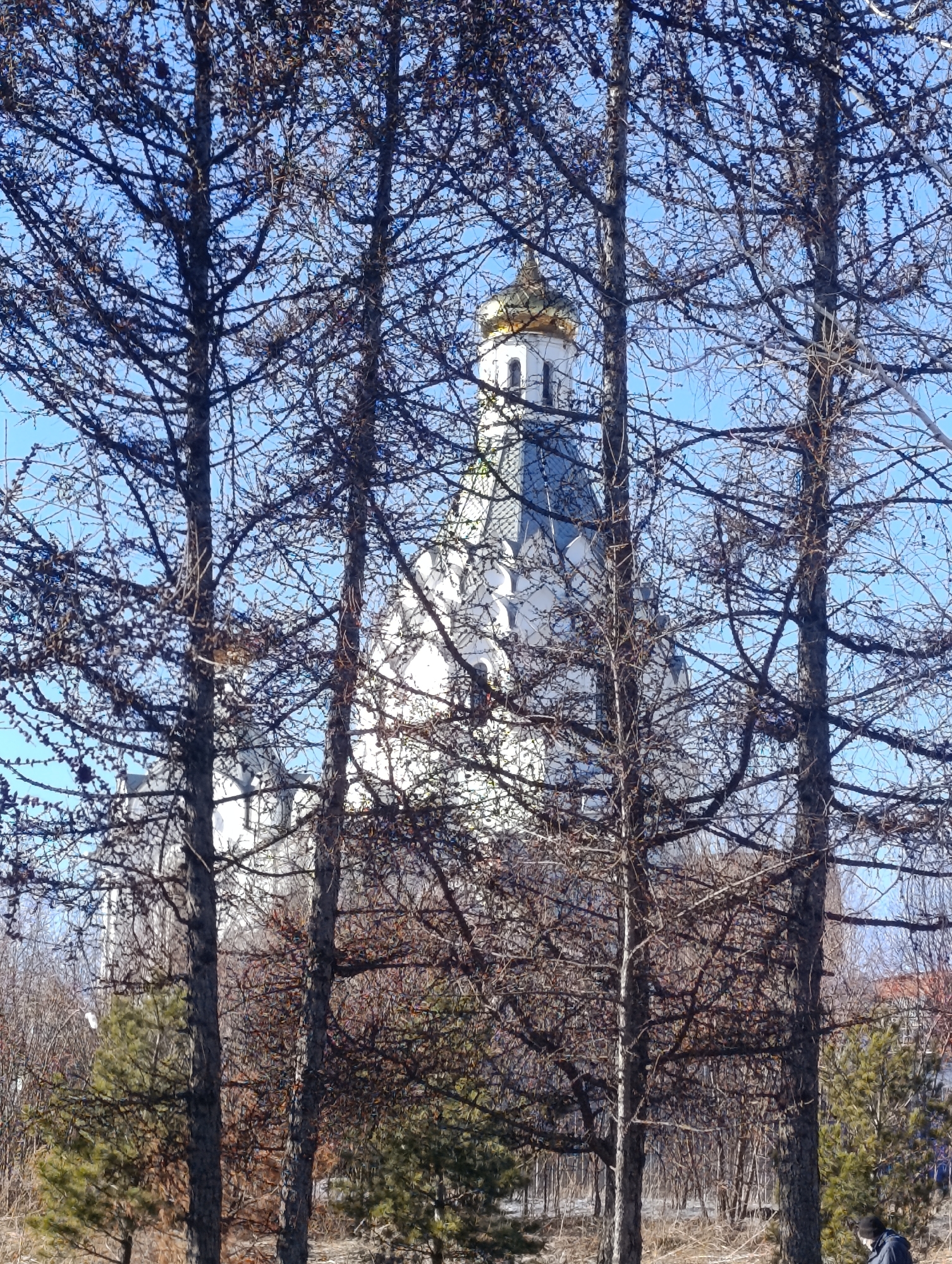 Orthodox cathedral with golden dome photographed in Krasnoyarsk