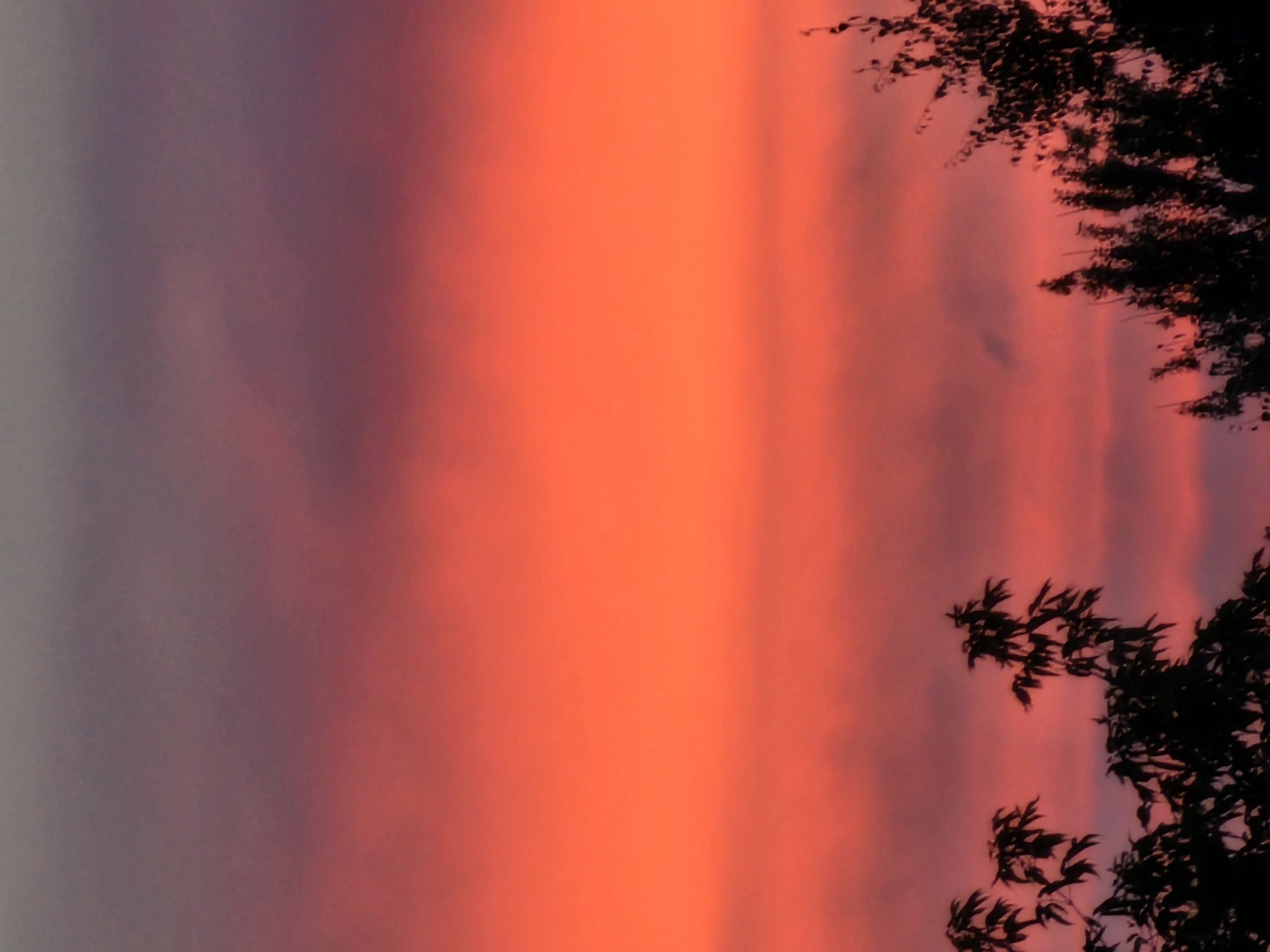 Vivid summer sunset over Khimki's residential skyline