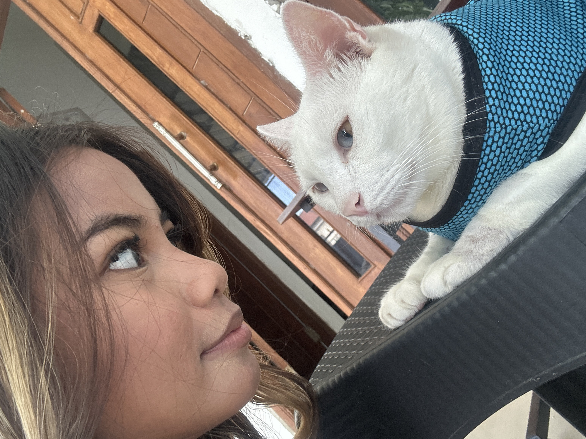 Woman takes selfies with heterochromatic cat in Sukawati