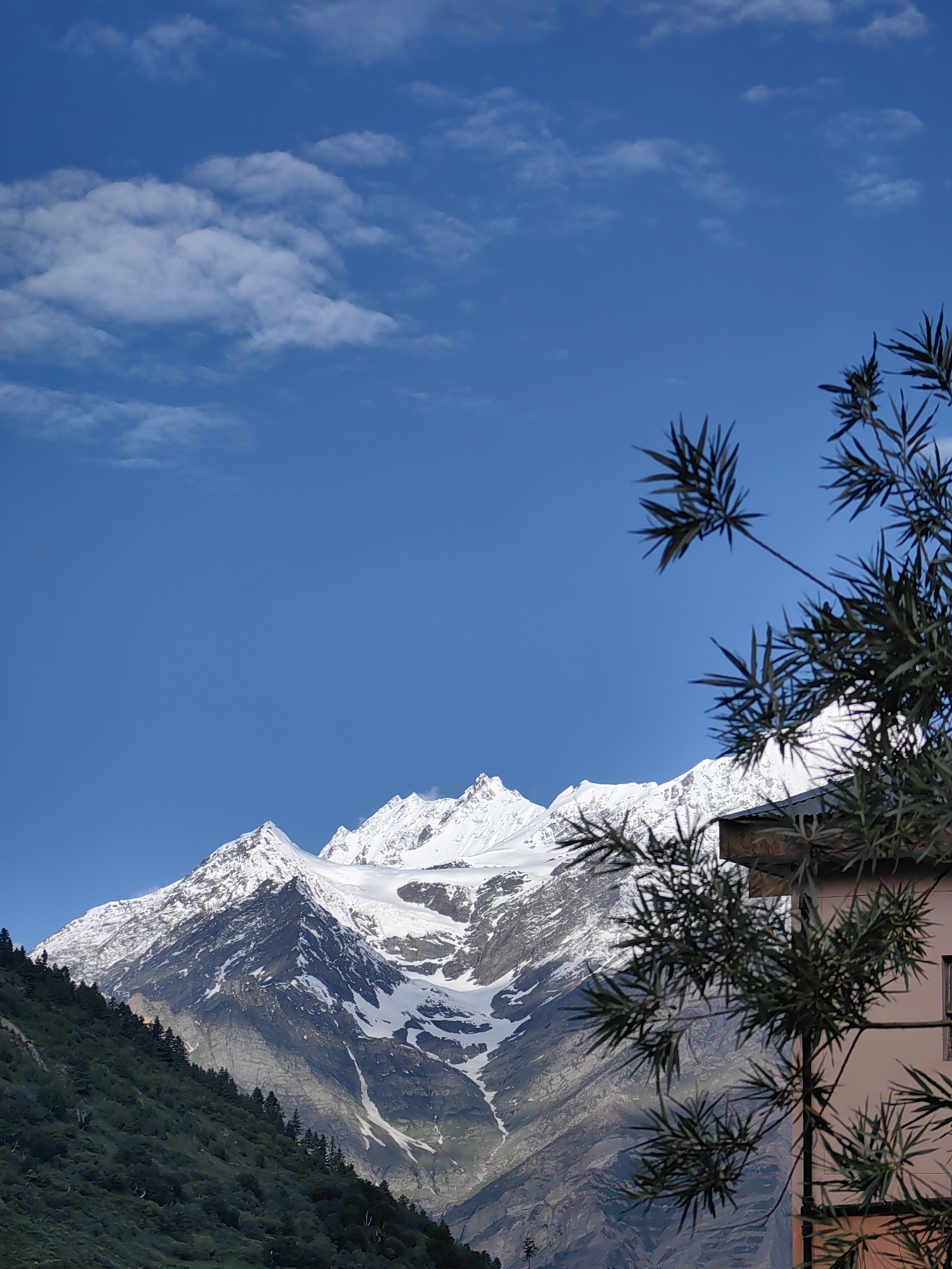Snow peaks, pink blooms, and stormy skies over Keylong