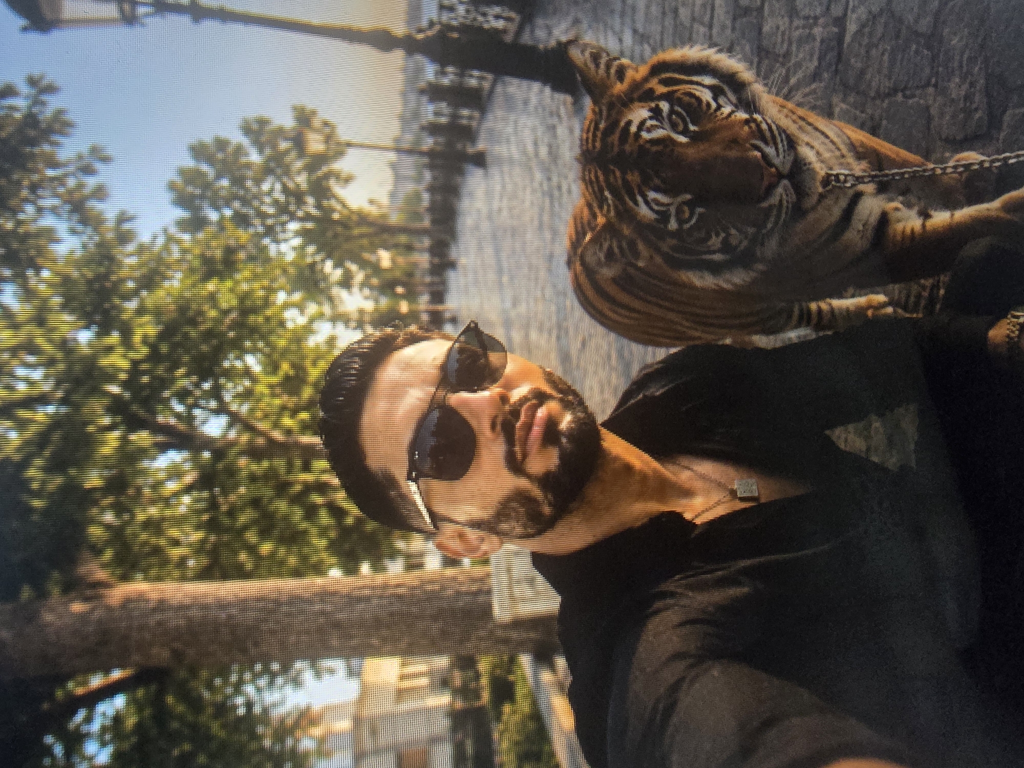 Chilling with a tiger across boats, helicopters, and snacks
