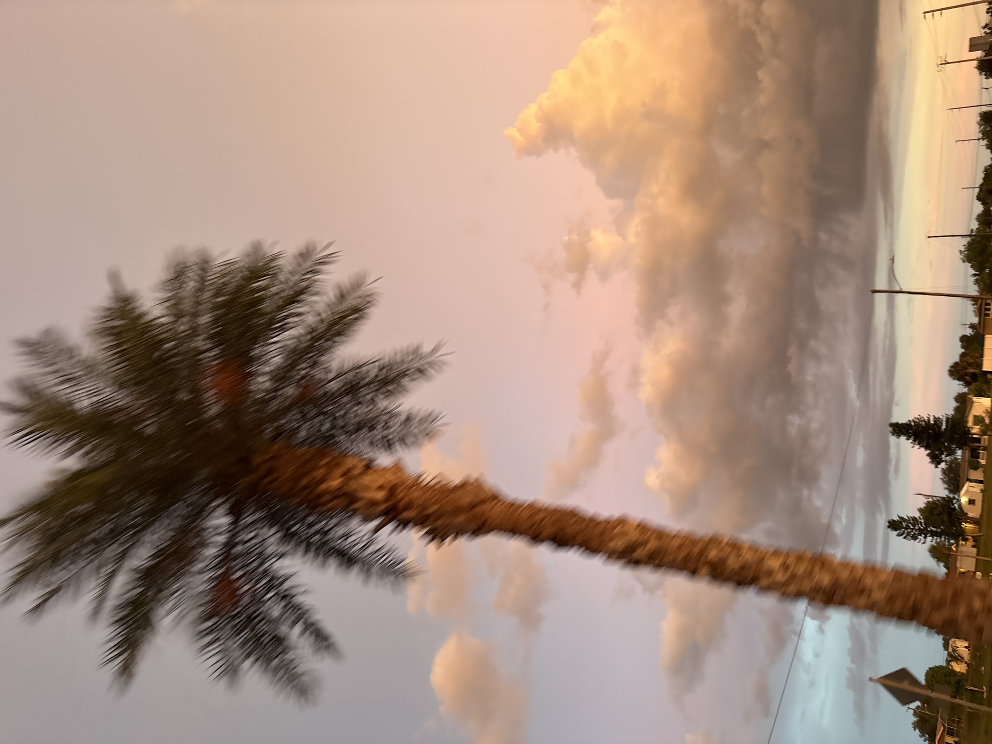 Tropical sunset with rainbow over palm trees and road construction