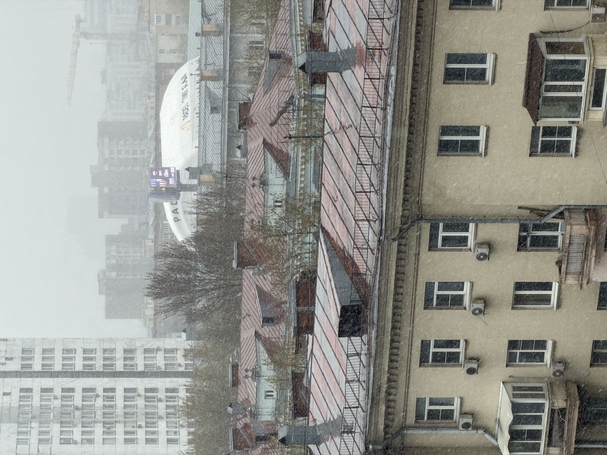 Woman documents snowy morning in Moscow amid changing weather