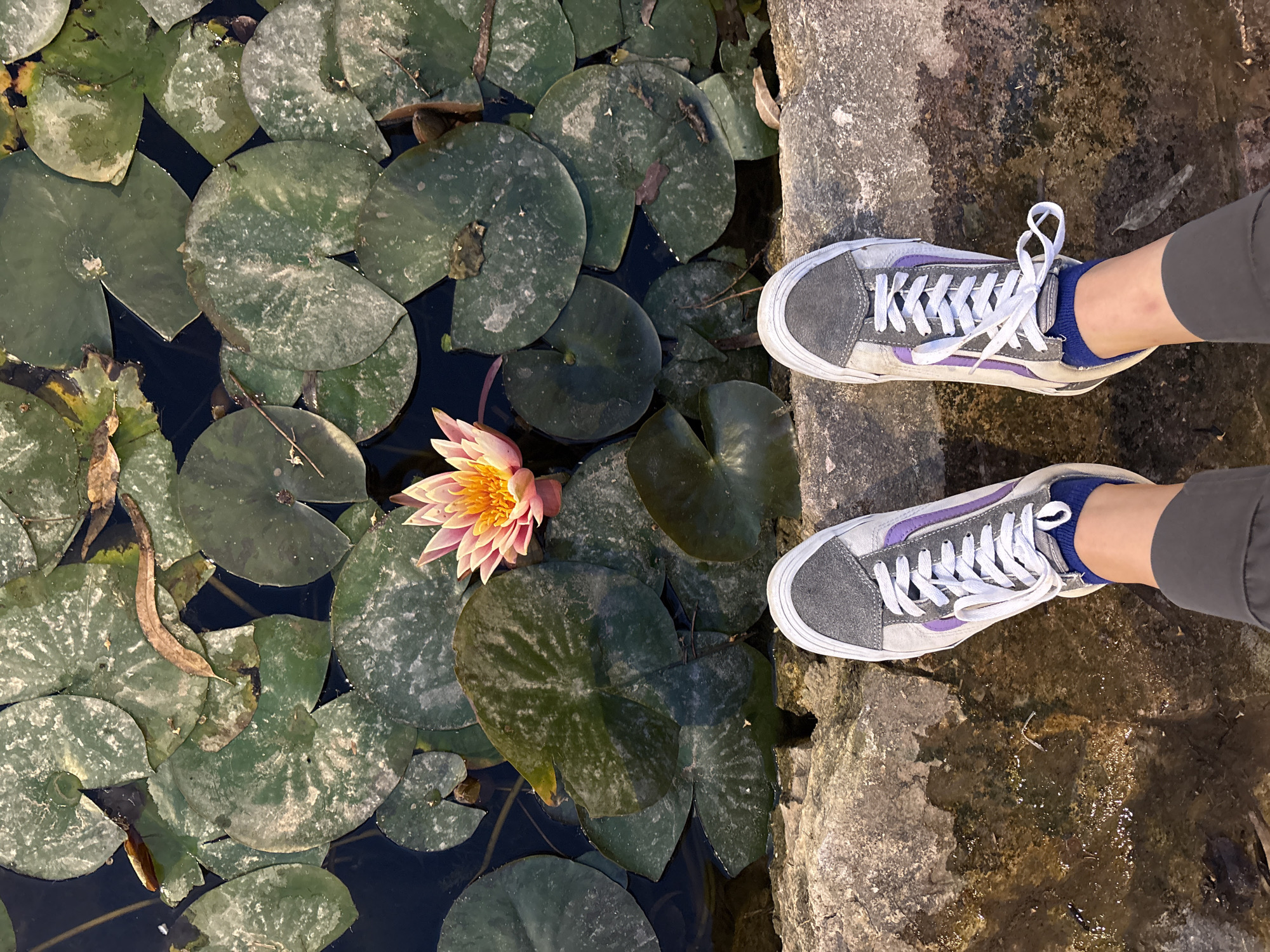 Person spotted wearing mismatched sneakers in Ramat Gan