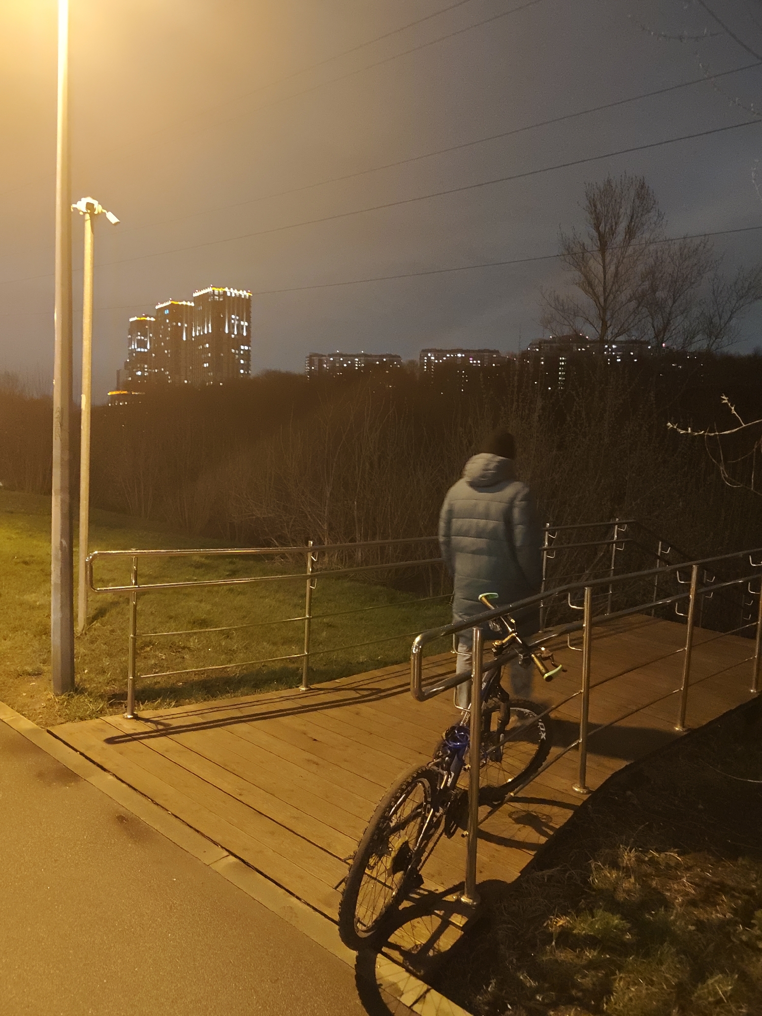 Man walks bicycle across Moscow park walkway at night