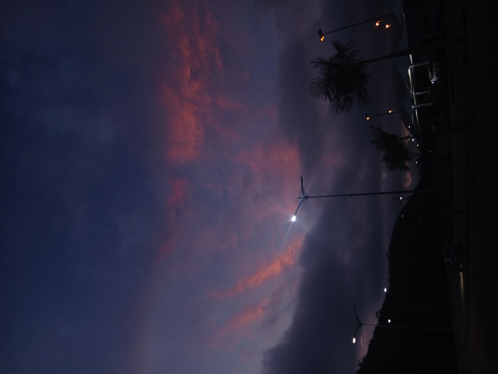 Evening food festival and street scenes documented in Los Robles