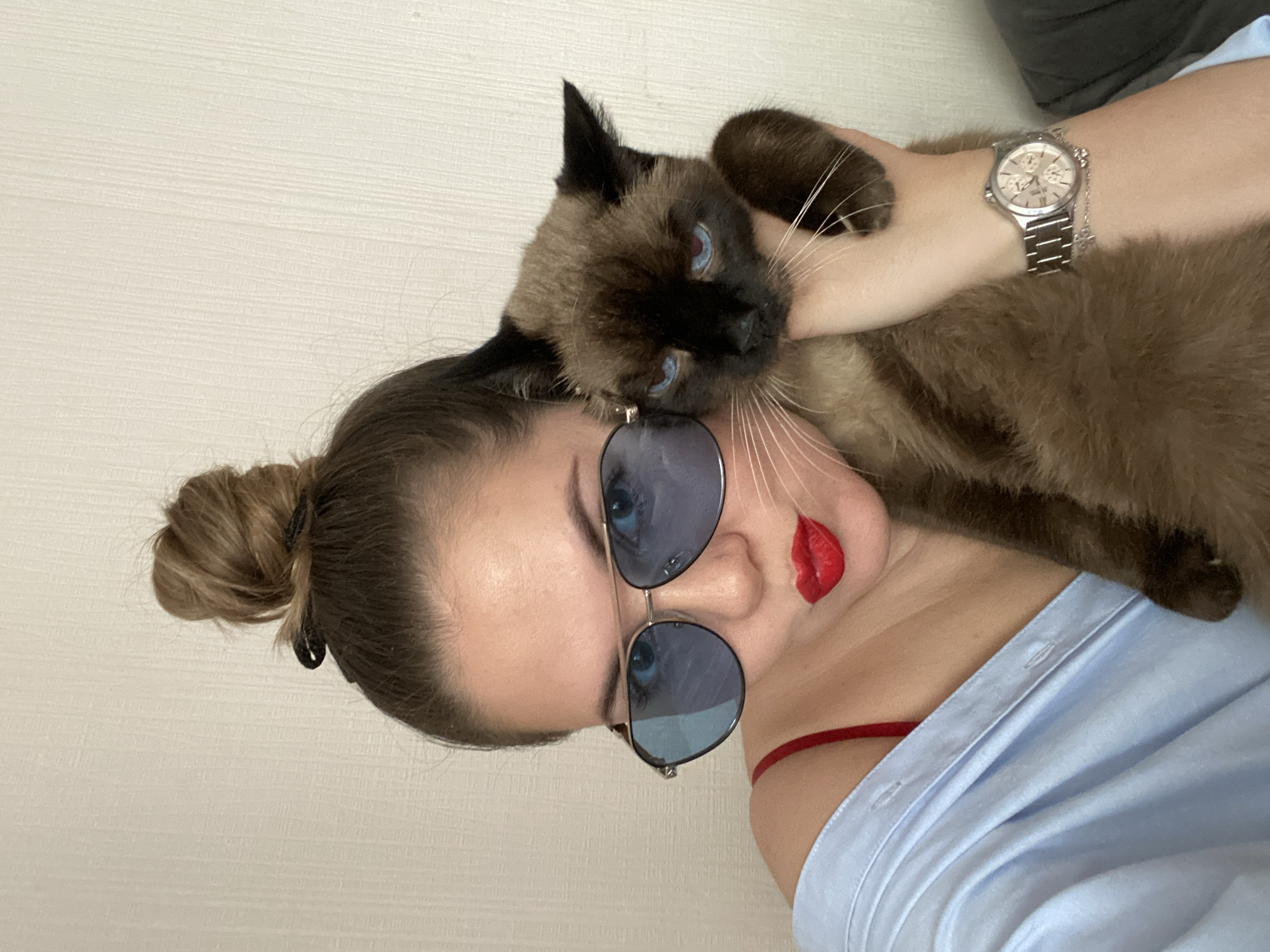Quiet morning moments with Siamese cat documented in Izhevsk