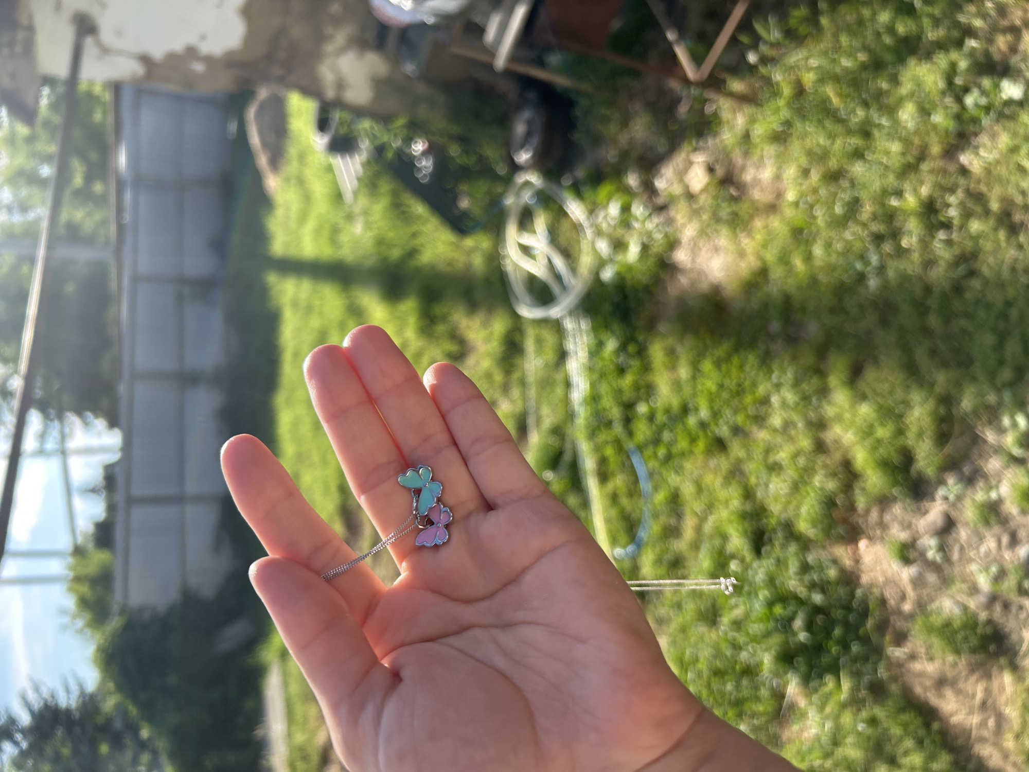 Quiet garden day with animals and fruit picking in Dondukovskaya