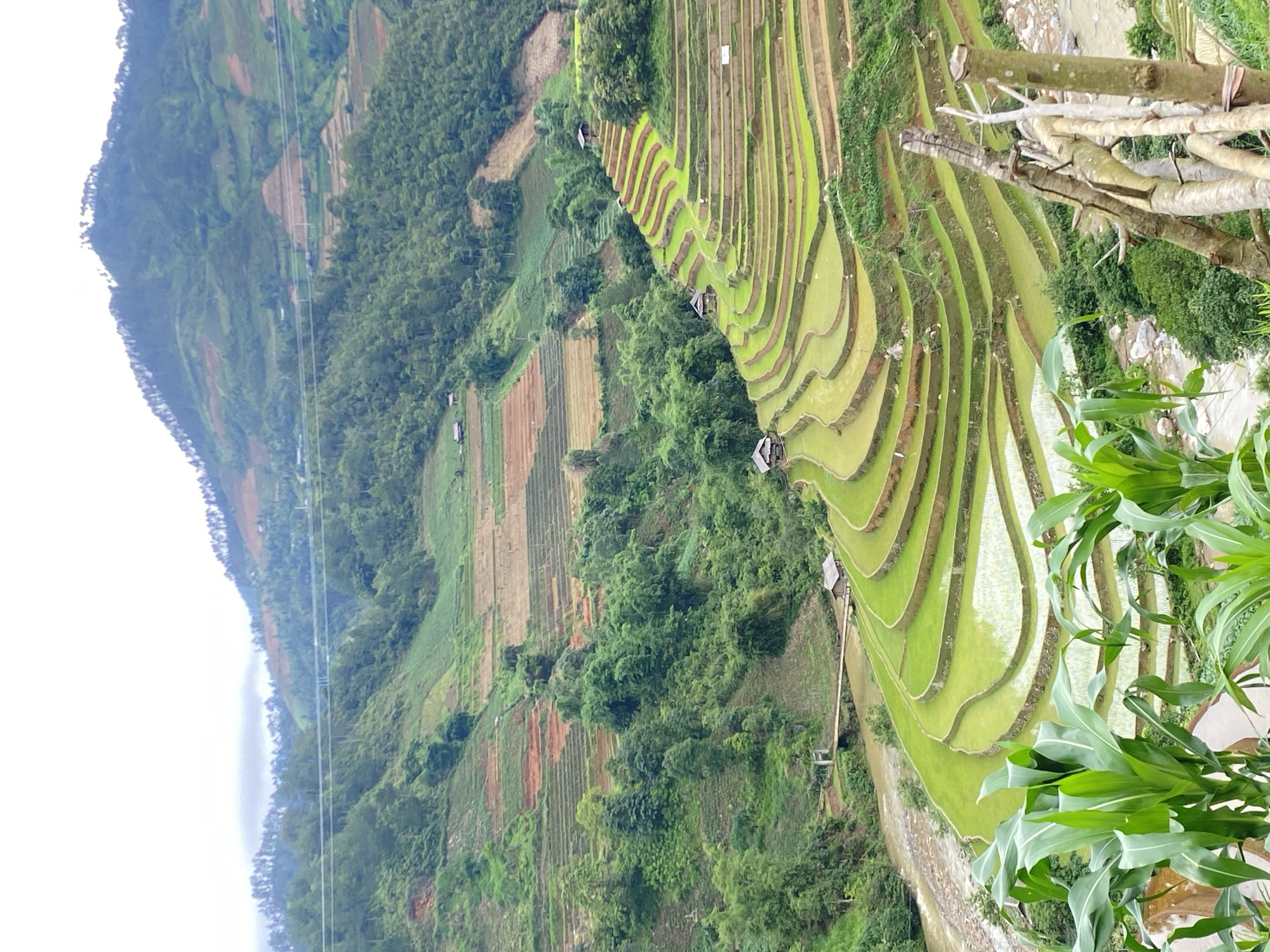 Tourist documents rural Vietnam landscapes and resort during early morning hours