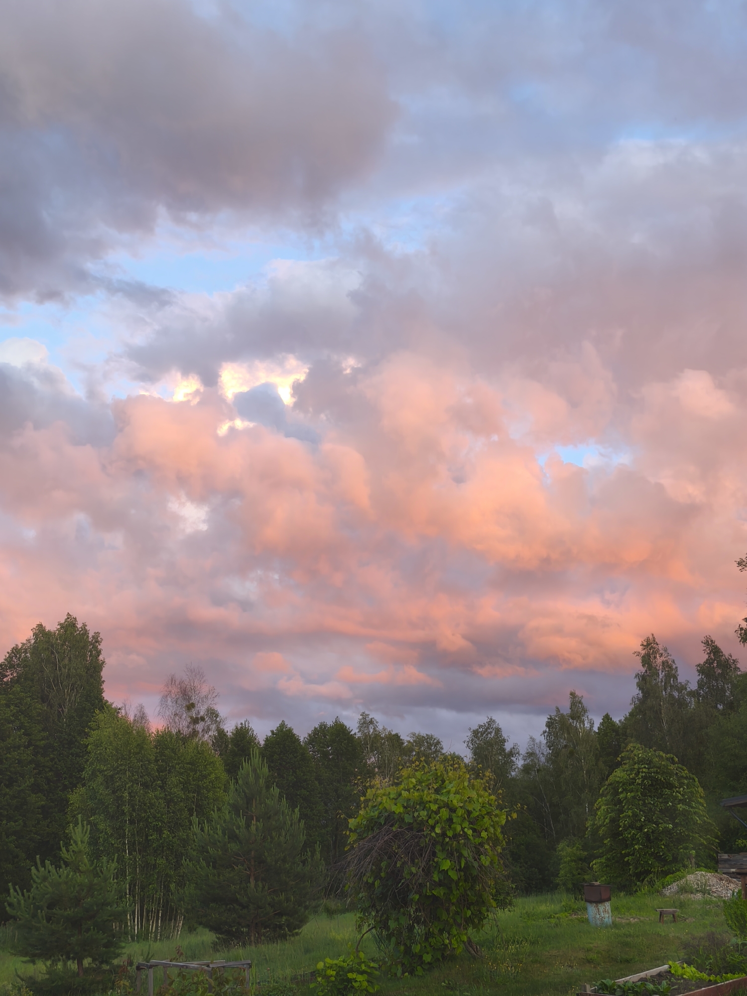 Sunset skies and greenhouse tomatoes in rural Belarus