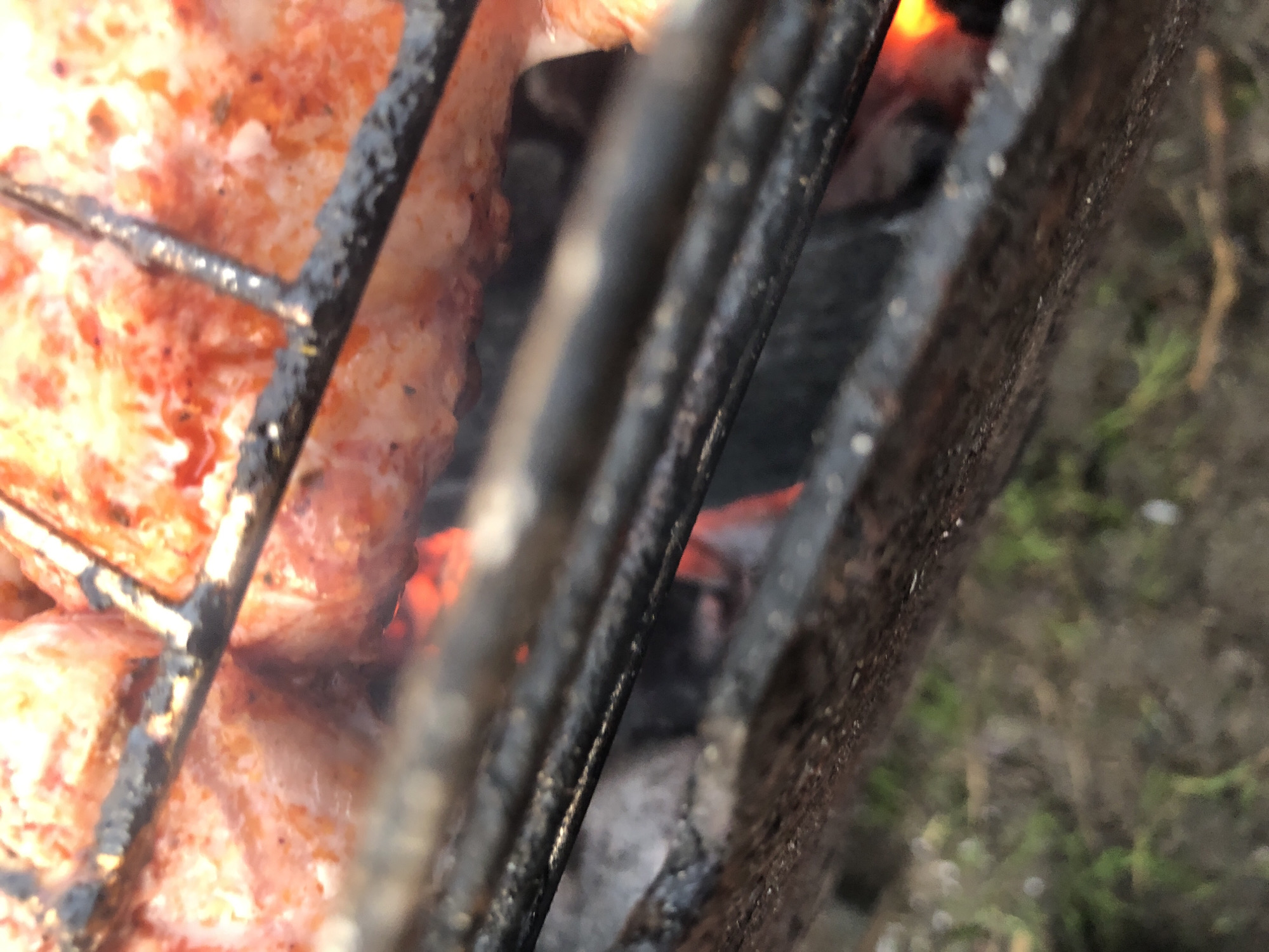 Backyard barbecue captured in 20 photos over afternoon