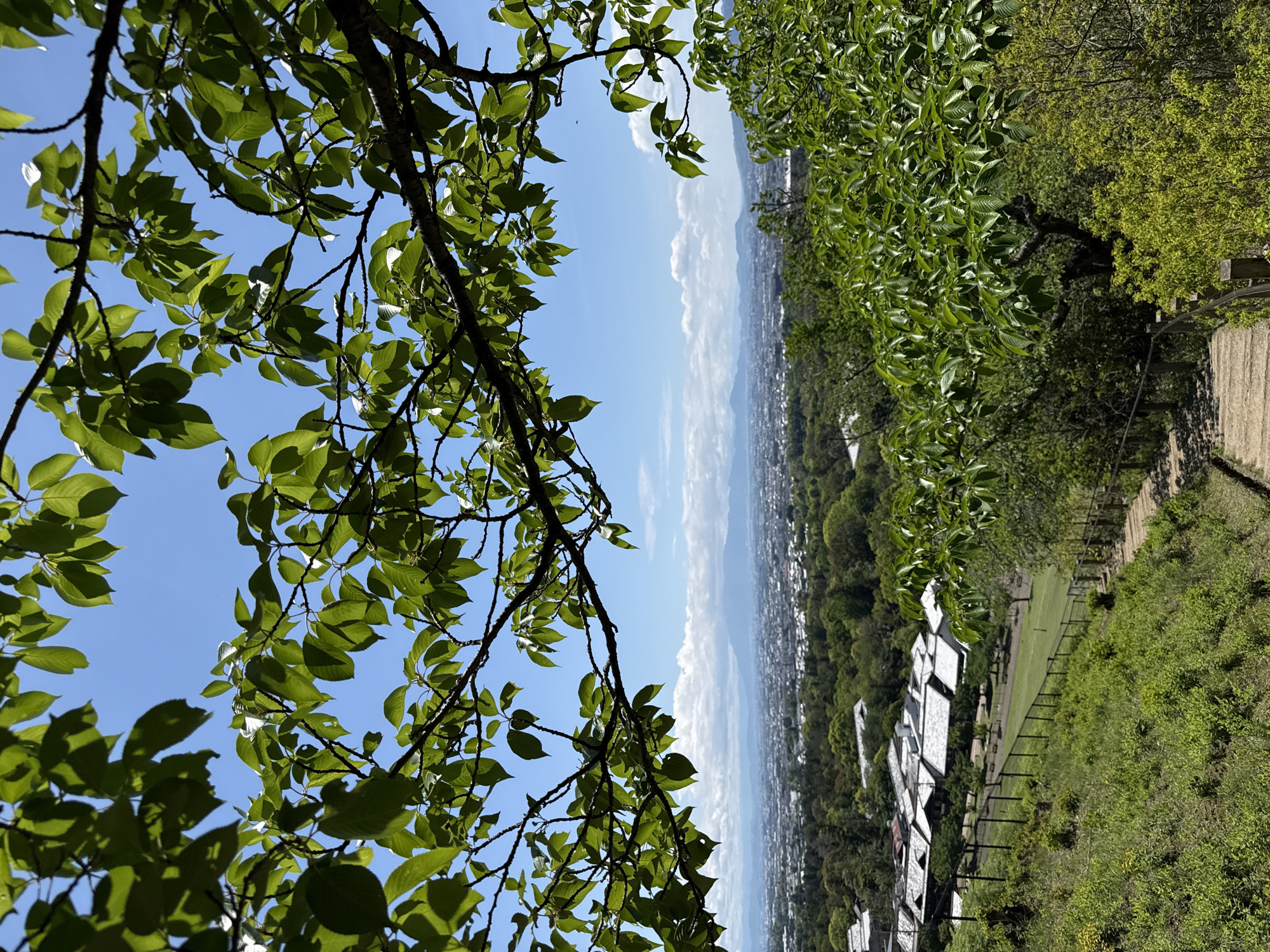 Elevated landscape view photographed in Nara, Japan