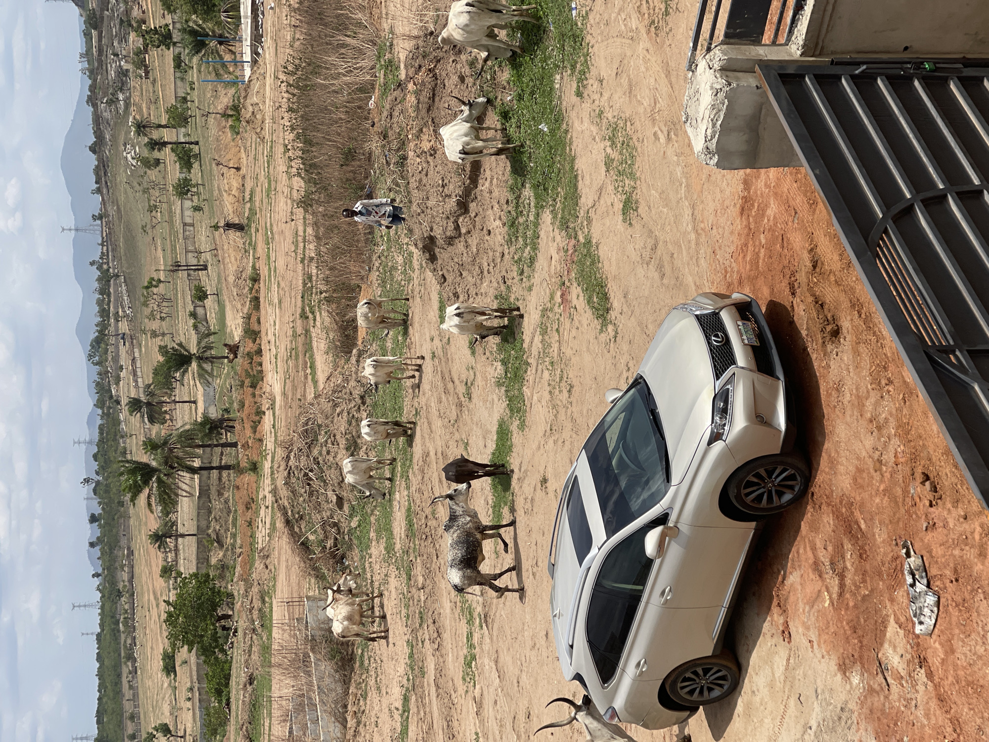 Construction and livestock activity observed in rural Nigeria communities