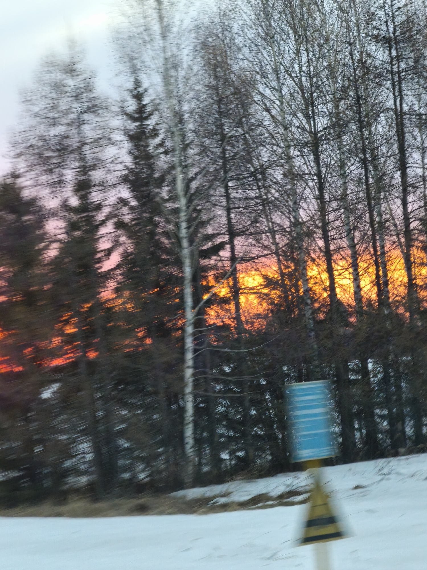 Winter landscape captured in Старое Мартьяново, Russia