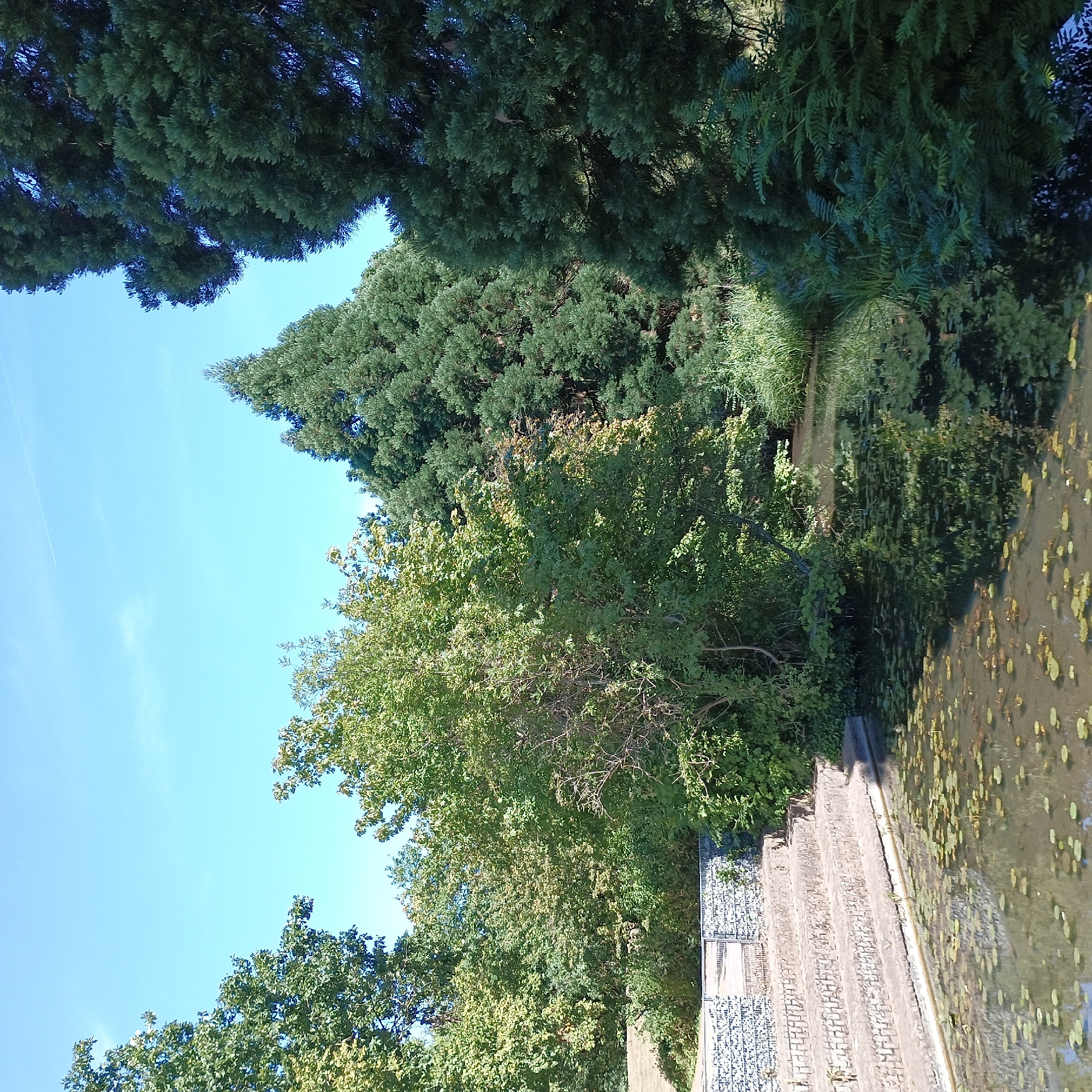 Afternoon walk through Düsseldorf's botanical garden and greenhouse