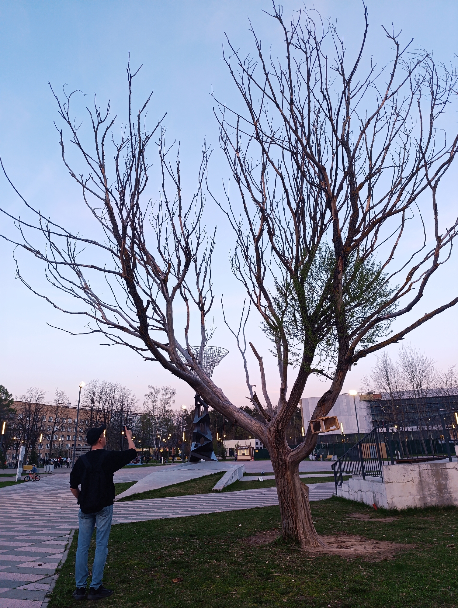Spring walk captures tree, bird murals in Chernogolovka