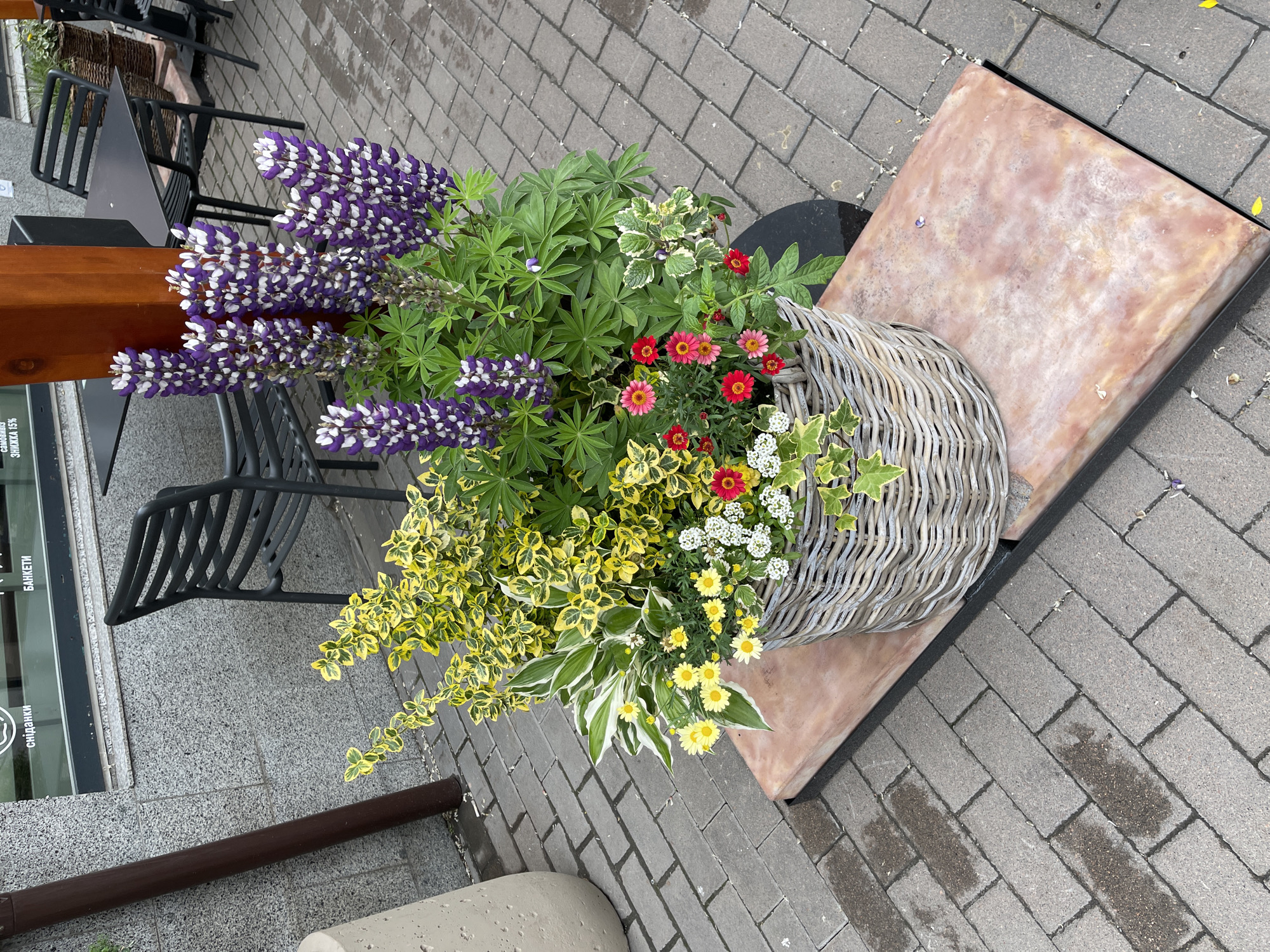 Floral displays and sticker collections documented in outdoor setting