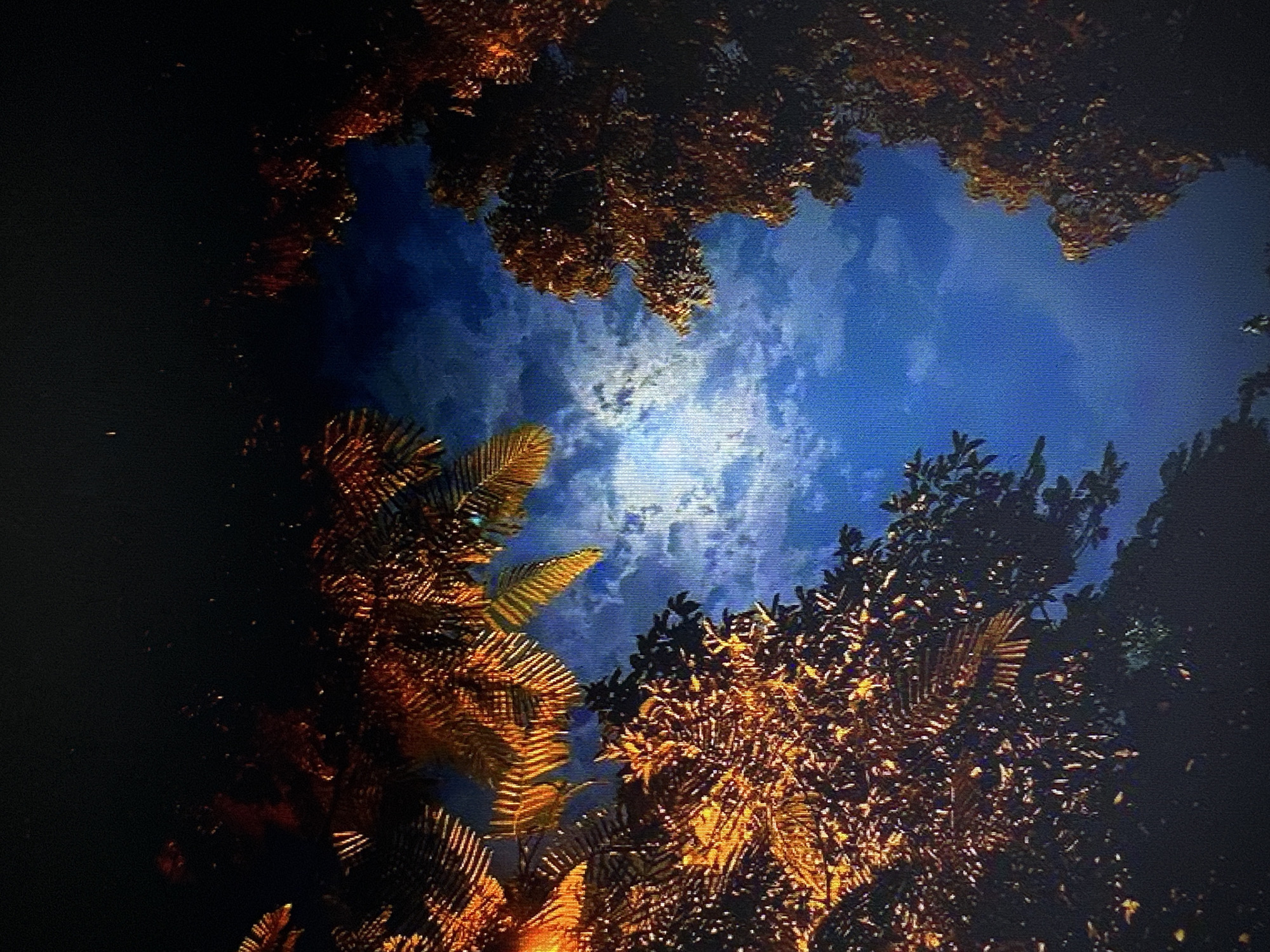 Nighttime parks, moonlit skies, and quiet outdoor paths