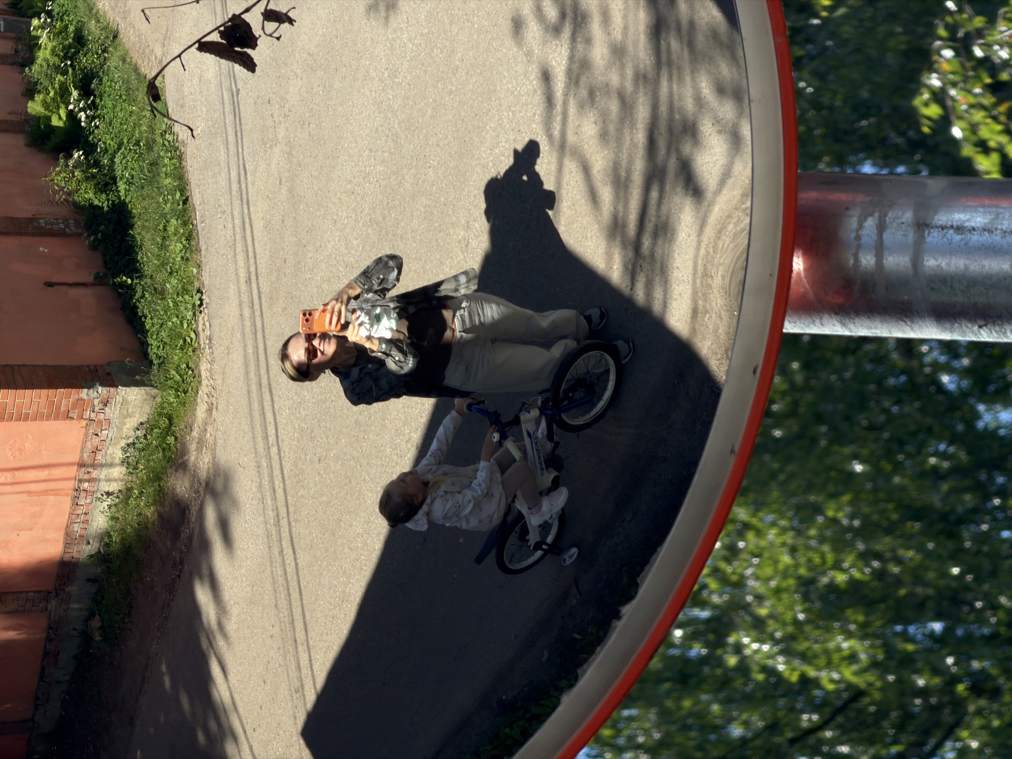 Lazy summer morning in Malakhovka: bikes, cats, and mirrors