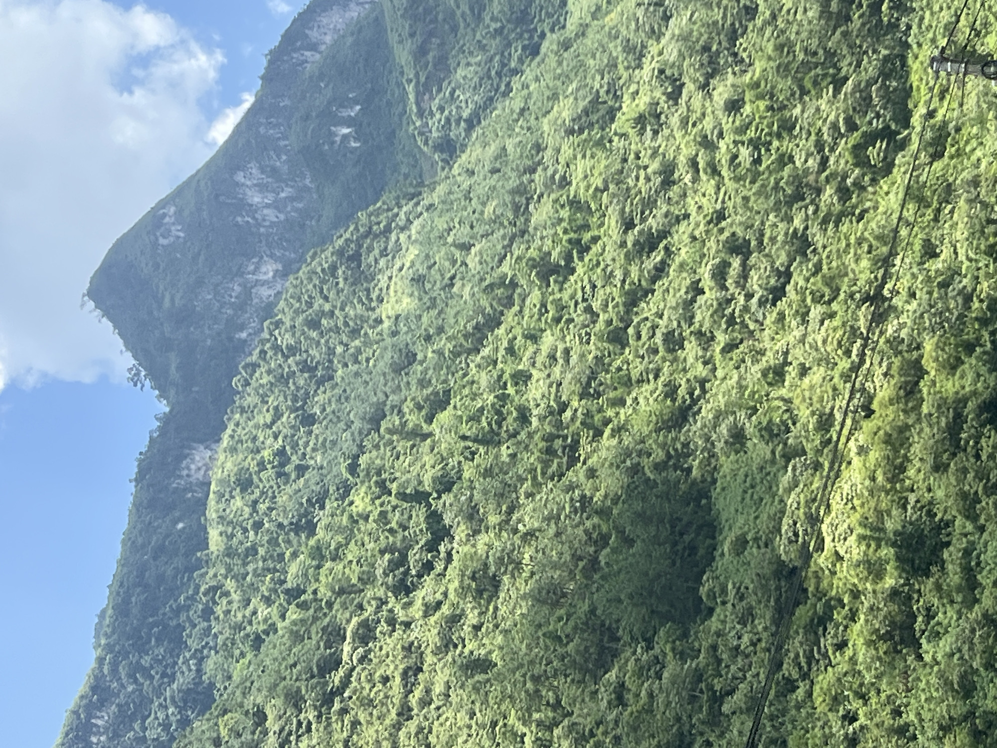 Winding mountain road through dense forest in Minh Tân Commune