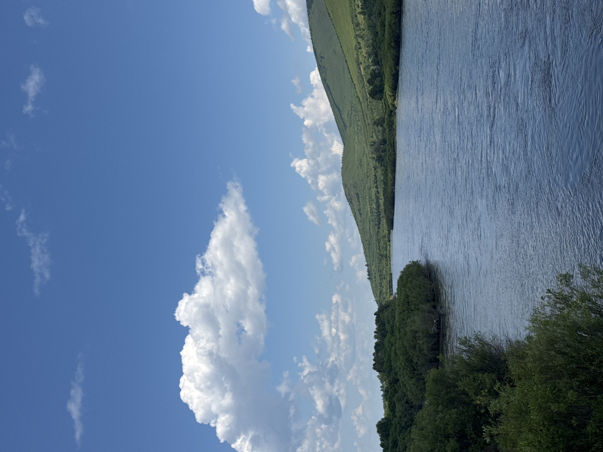 Sunny day in a quiet rural landscape, rivers to wildflowers