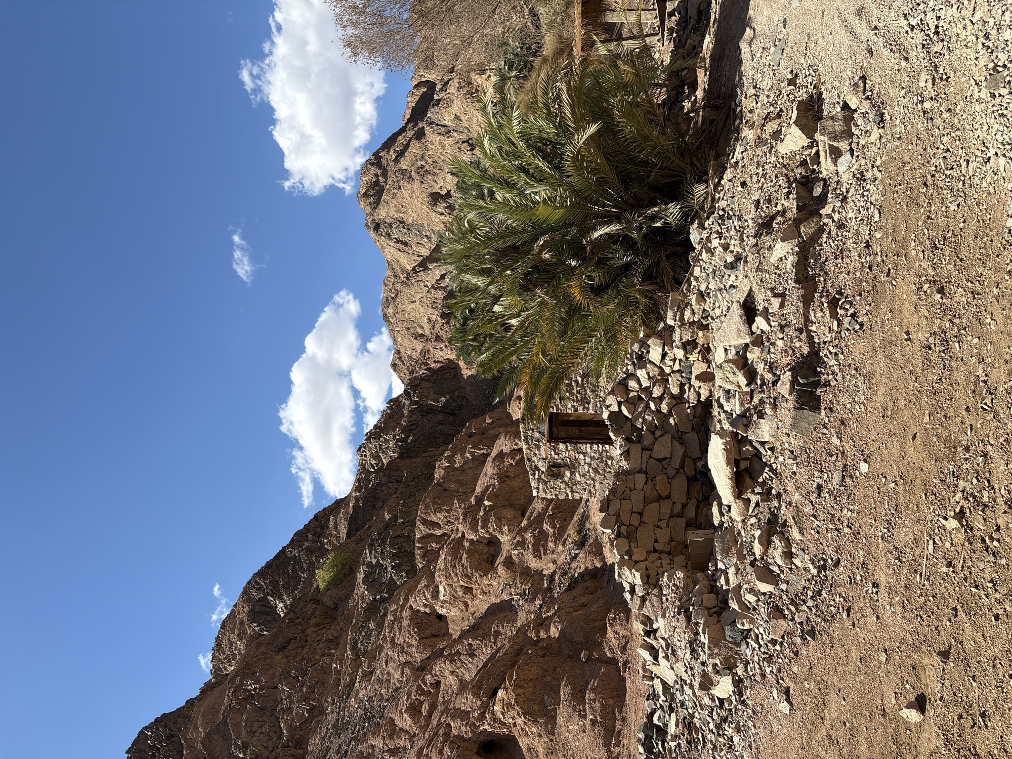 Person in keffiyeh photographed amid Dahab's palm trees, mountains