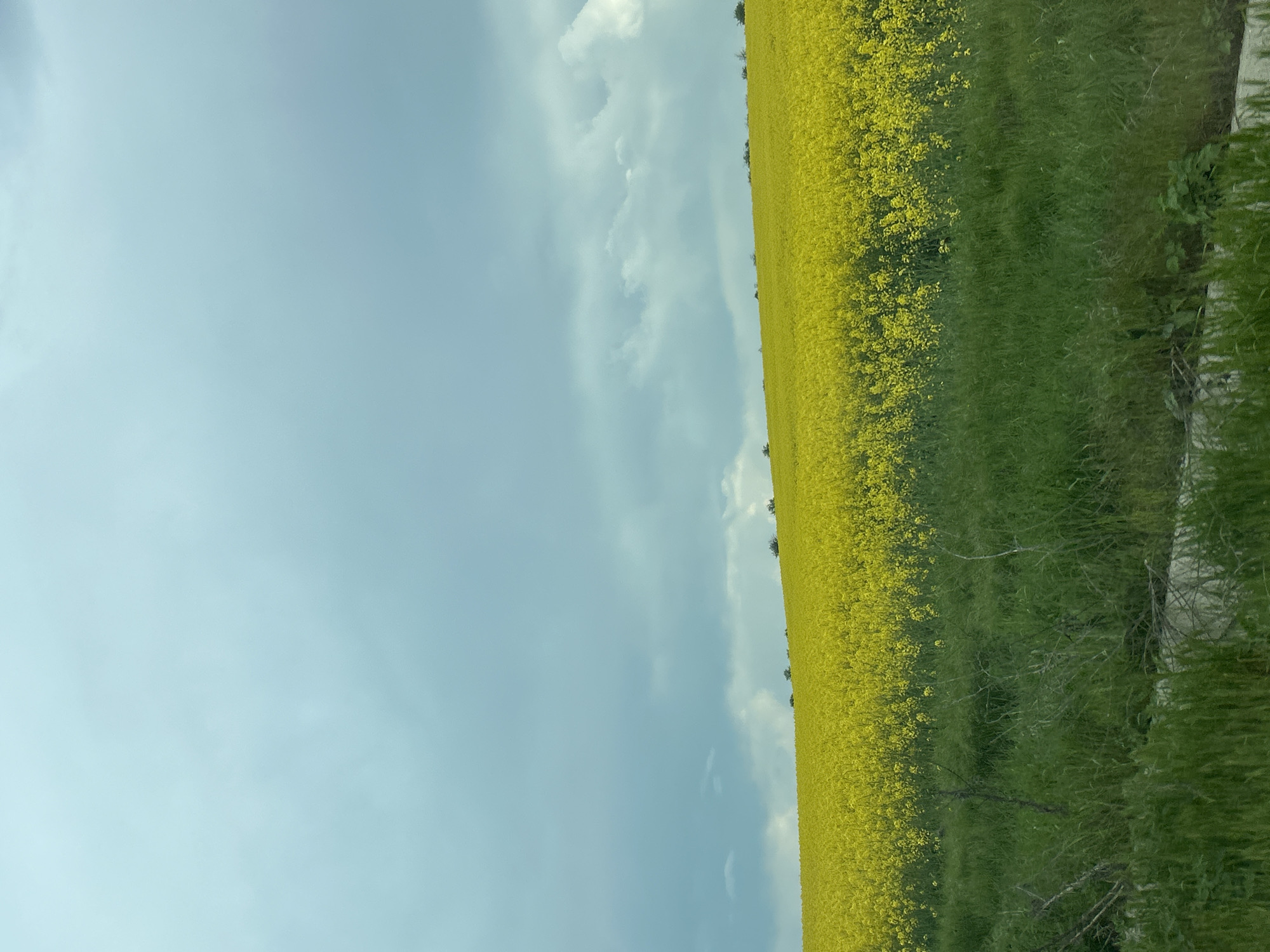 Spring blooms and pastoral scenes documented in 13-minute span