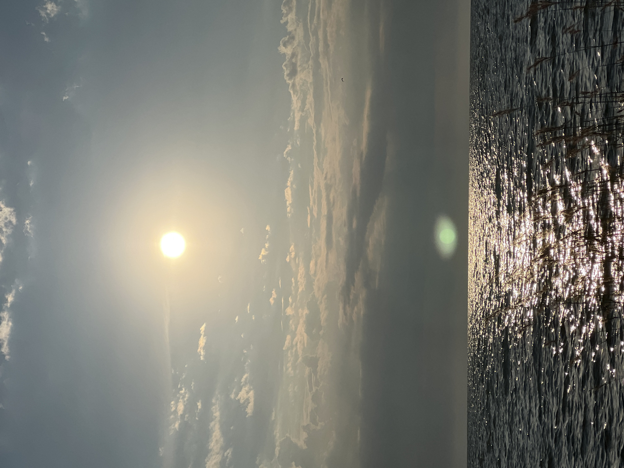 Sunlit lake and sandy shore, Borovoe, late June