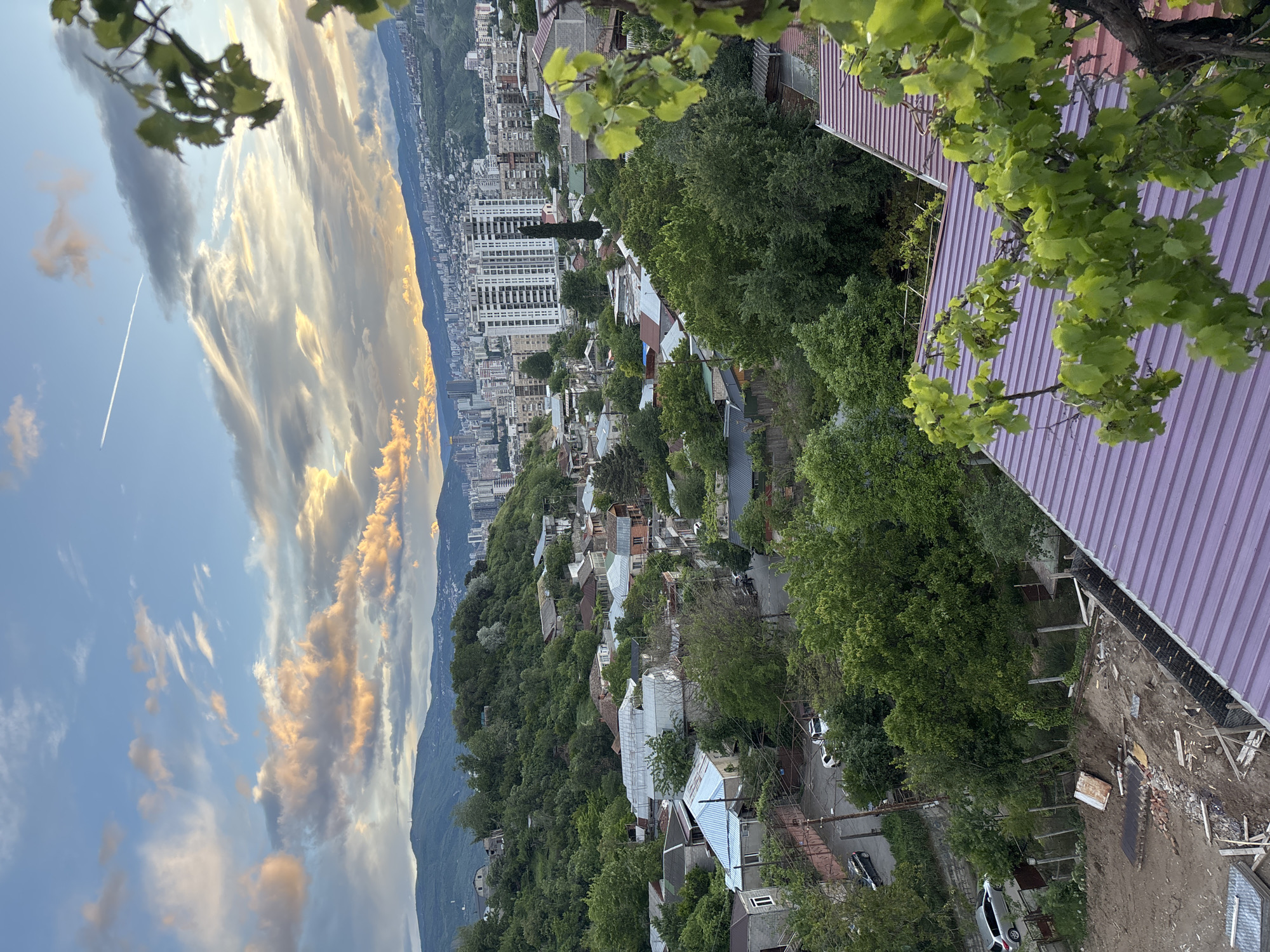 Sunset cityscape captured from vine-covered balcony in Tbilisi