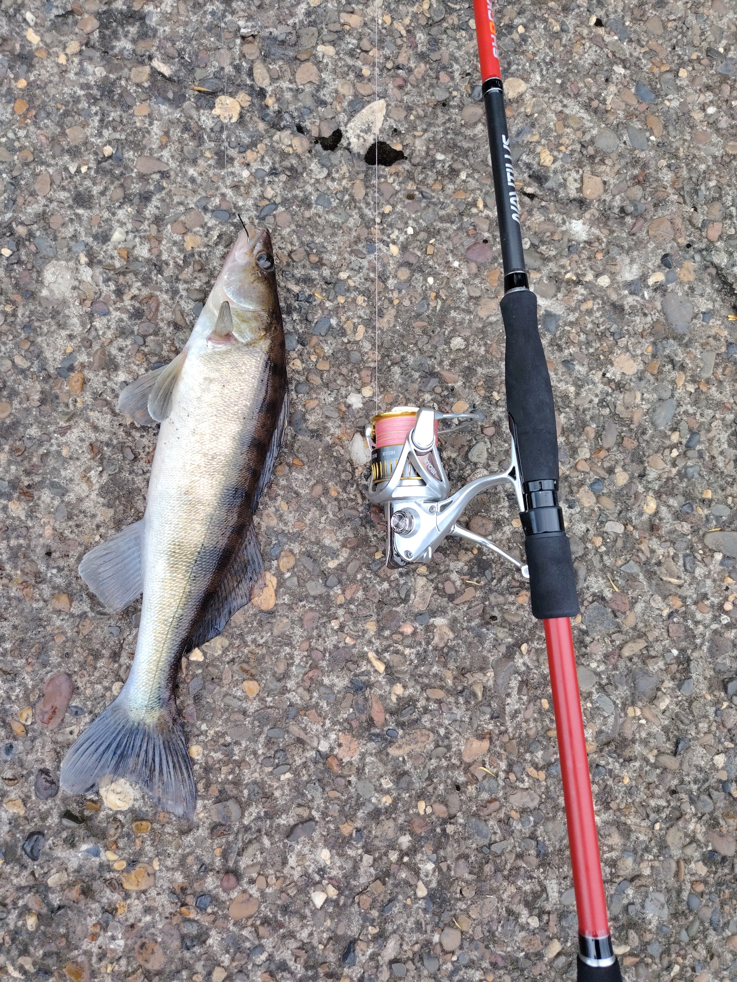 Late-night fishing documented near Chaikovsky dam in Russia