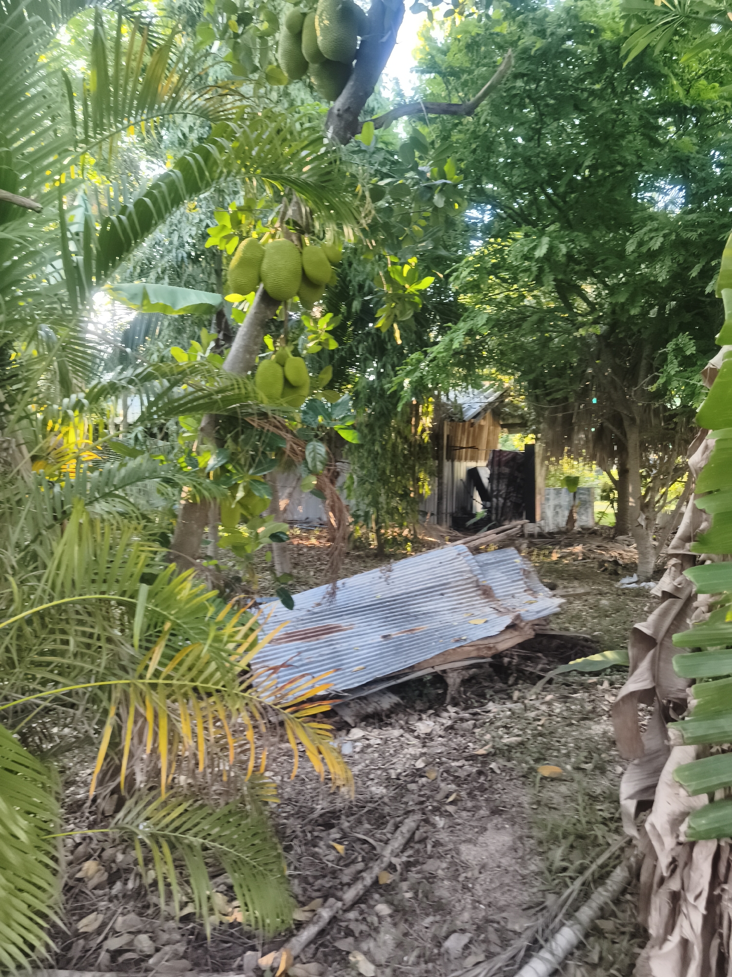 Rural deterioration documented in Baan Plai Laem, Thailand