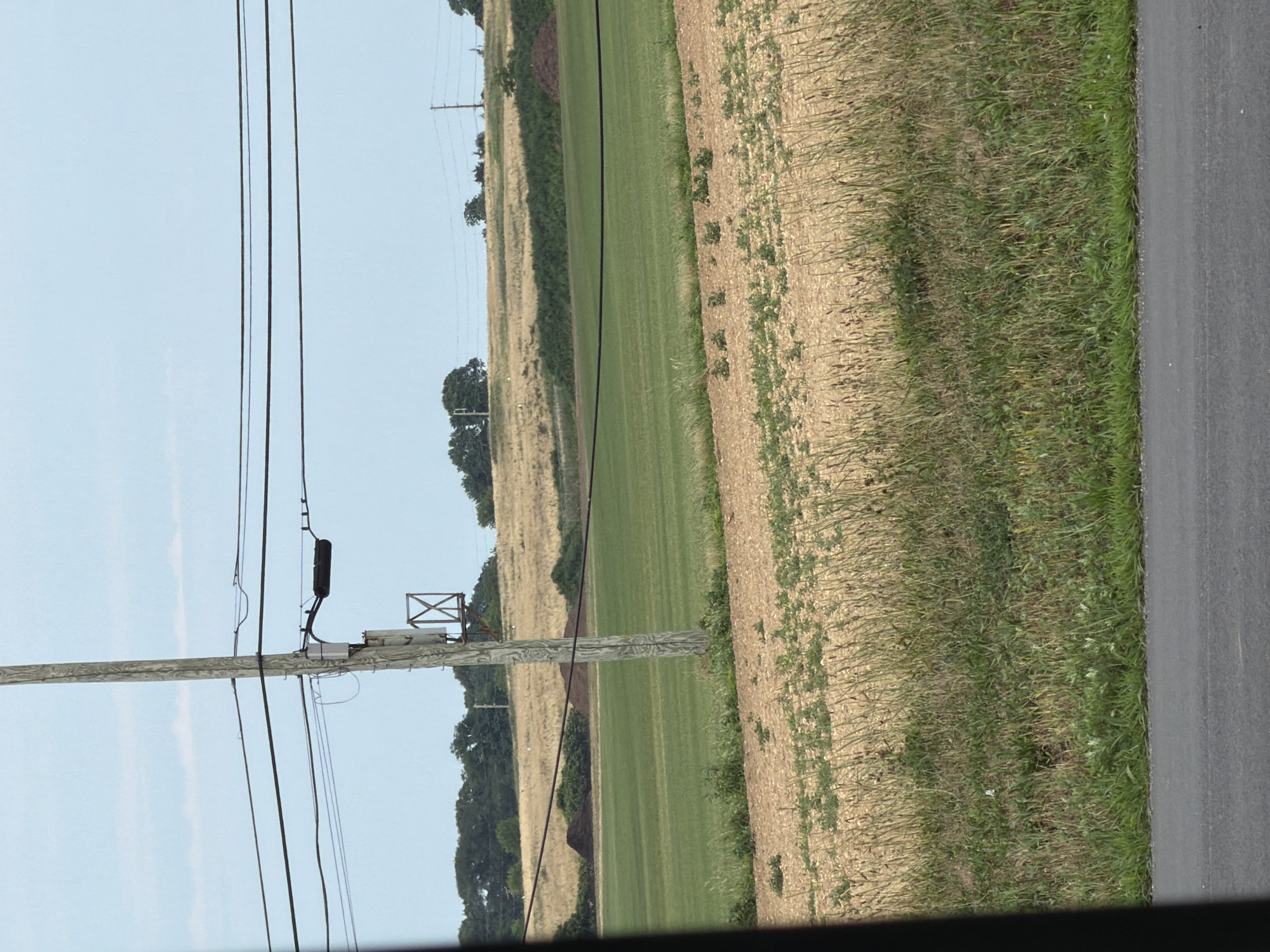 Open road through dry farmland on Long Island's North Fork