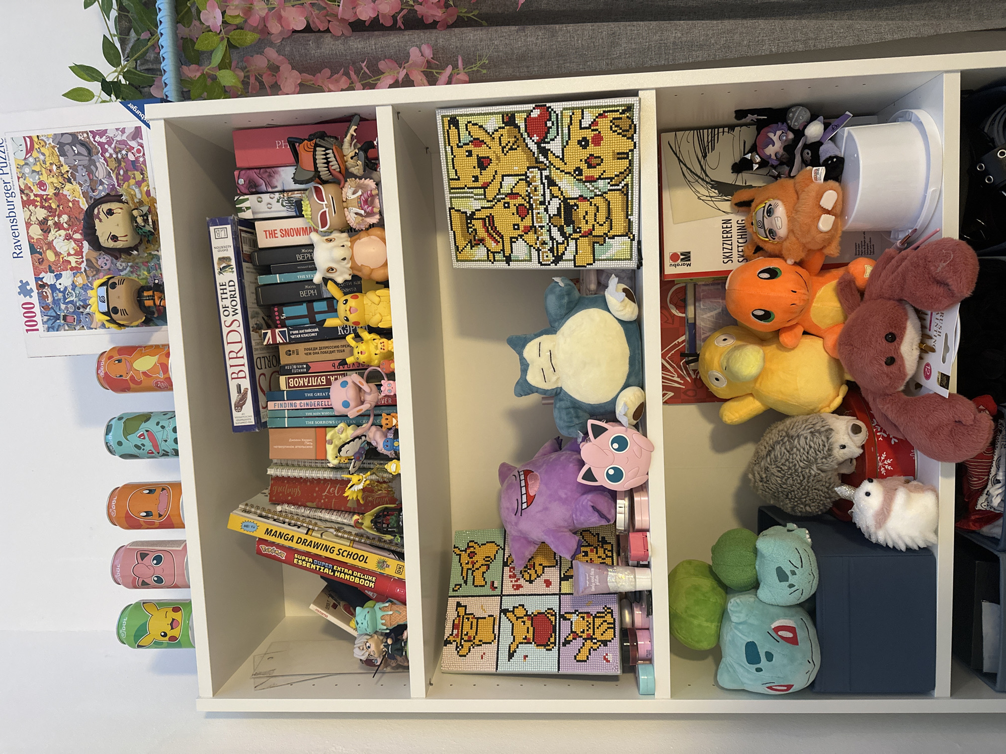 Ljubljana resident documents personal collection on white bookshelf