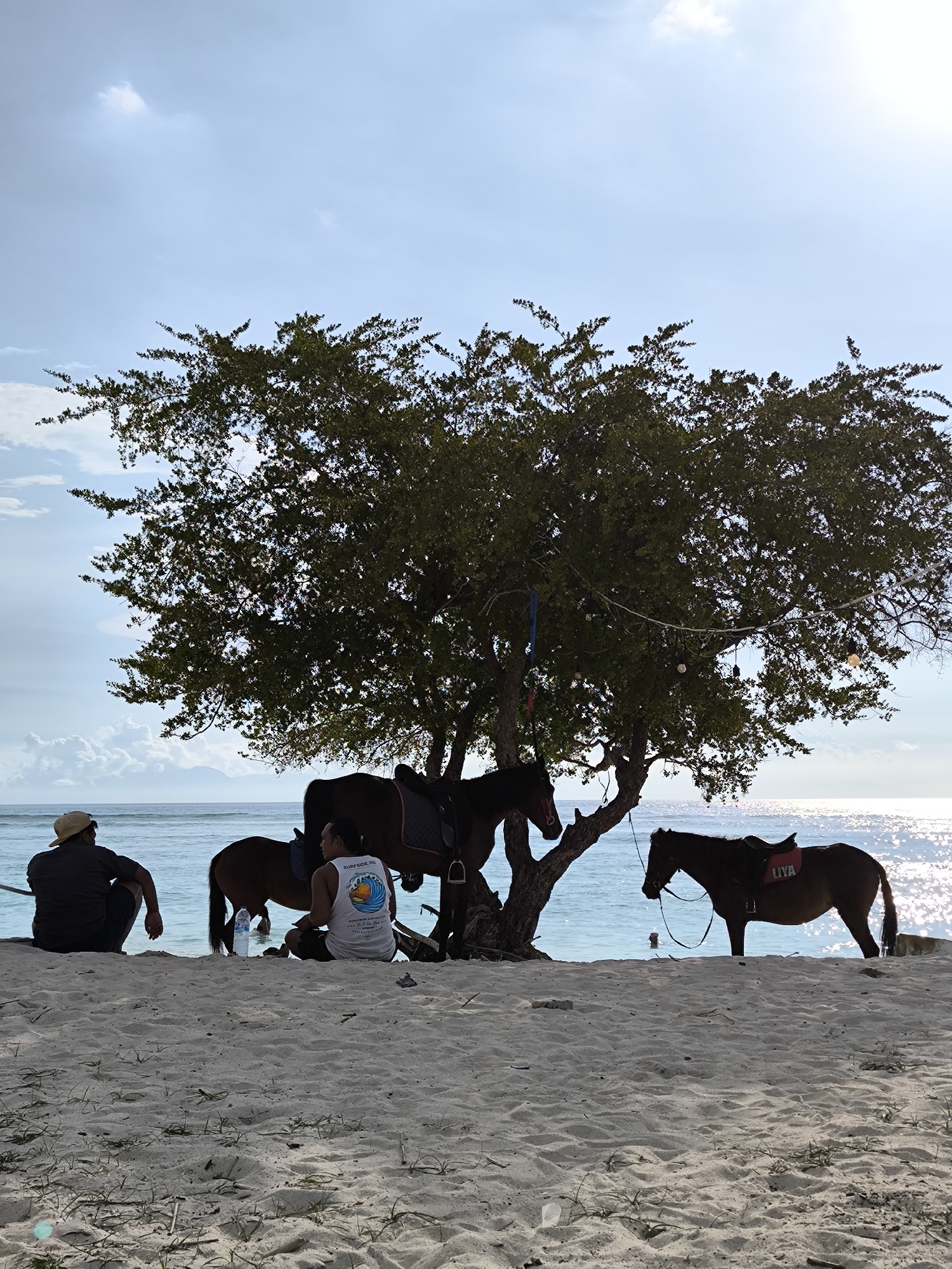 Indonesian coastal community shows horses, carts, scooters in morning