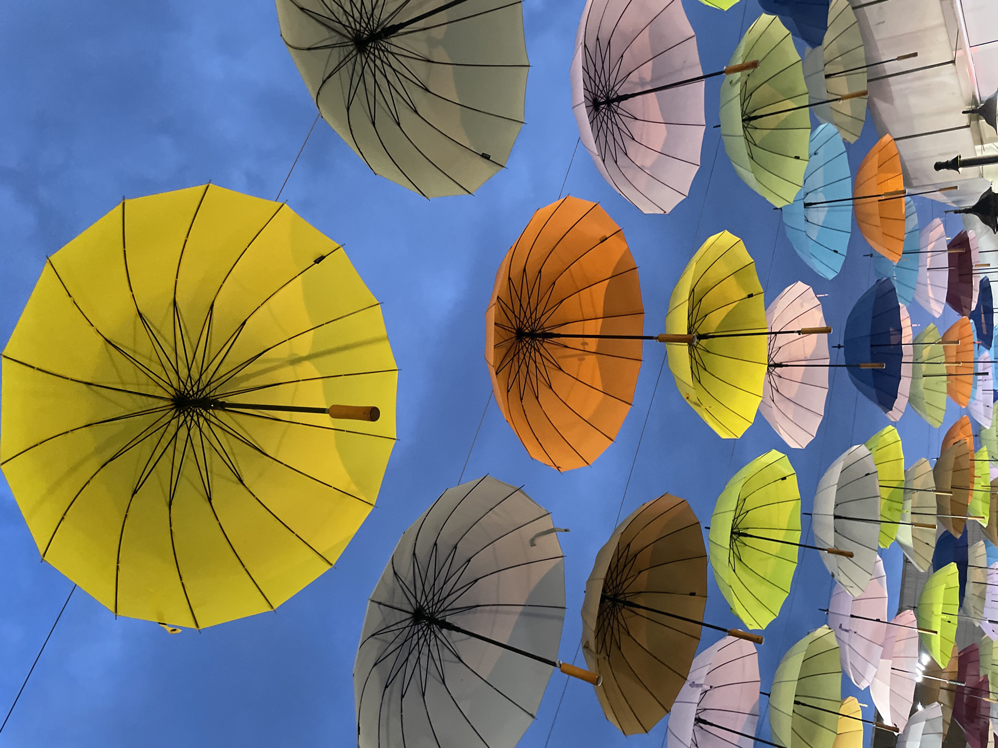 Colorful umbrella installation lights up a Sochi evening