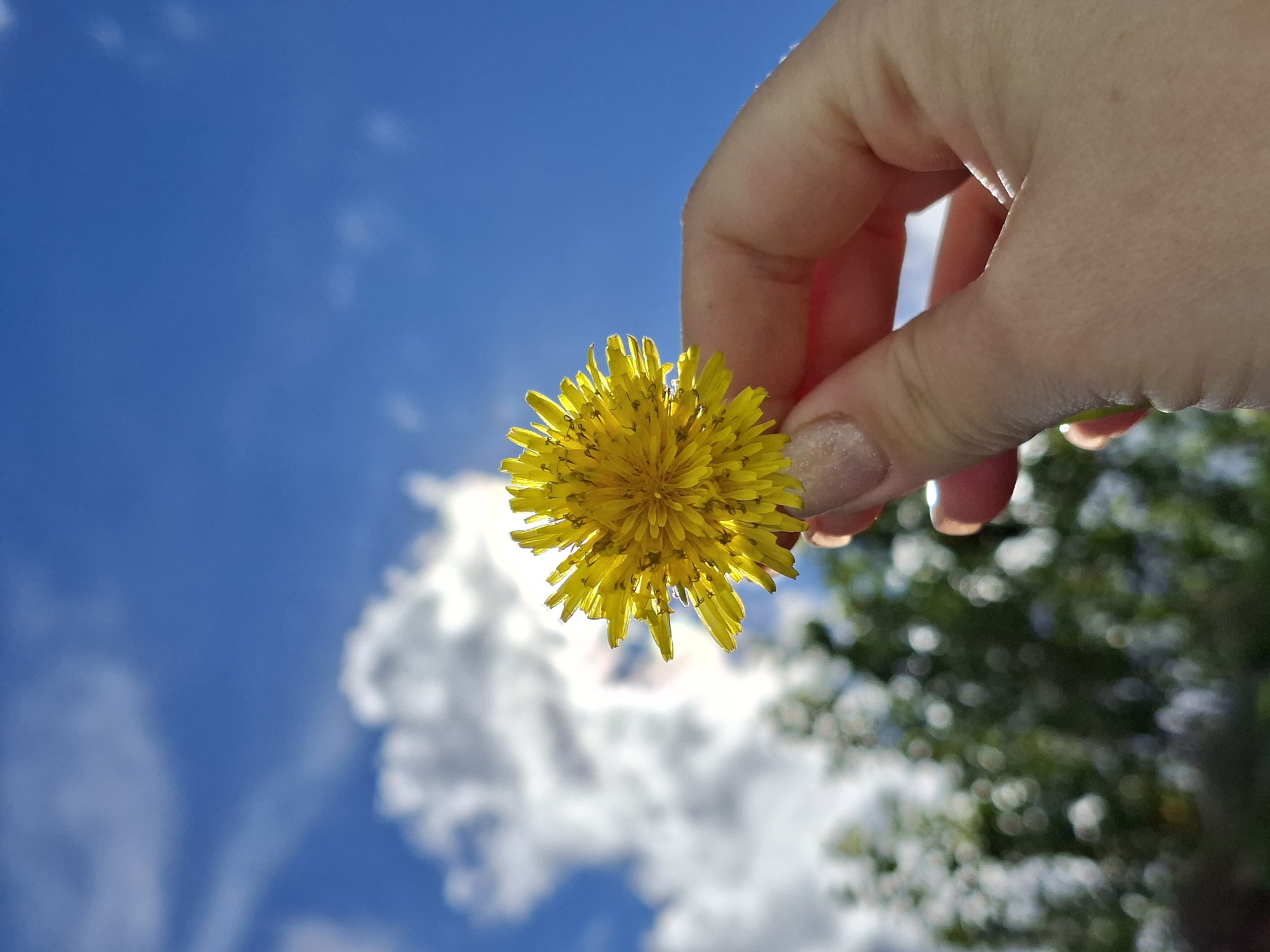 Sunny day outdoor moments captured in Karsha, Russia