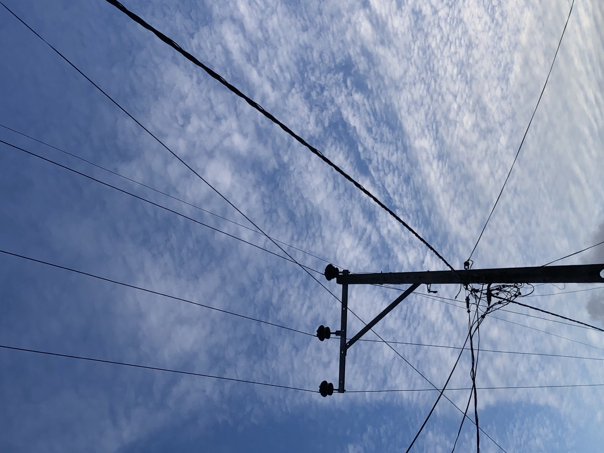 Coastal Sri Lanka: palm trees, power lines, and toast.