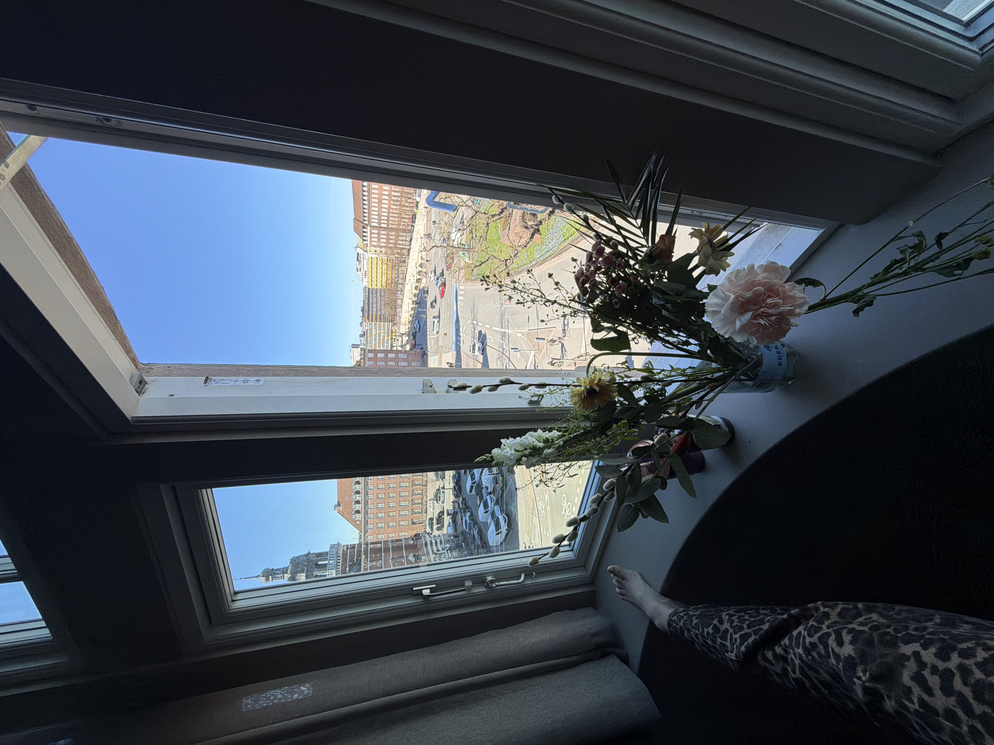 Morning window views captured from Copenhagen room interior
