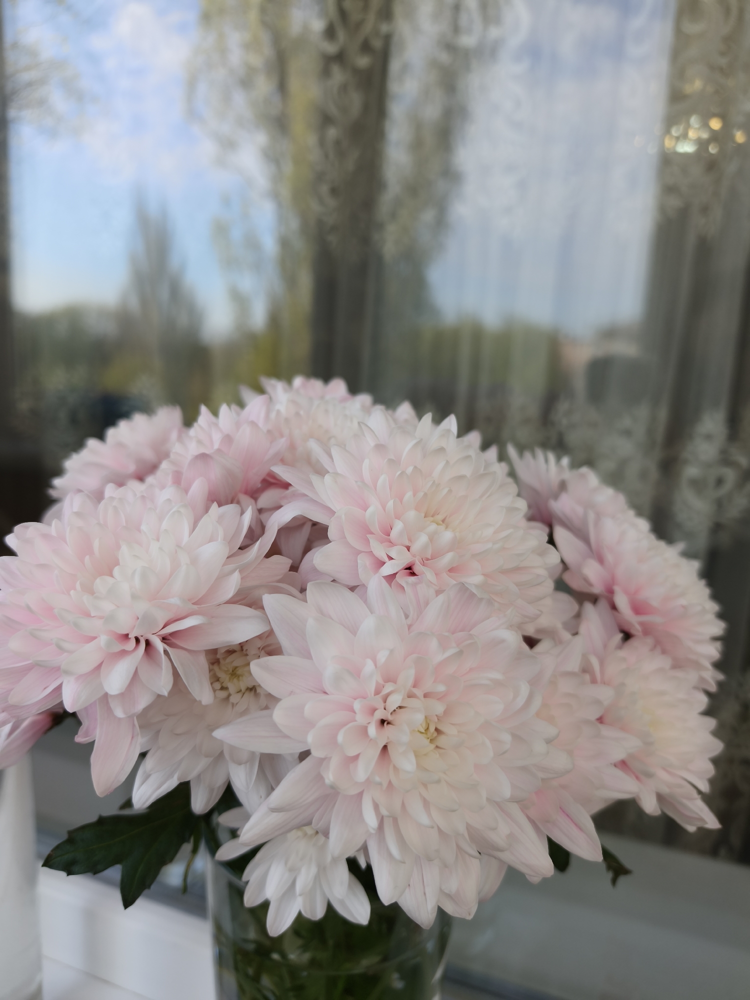 Morning domestic moments captured in Kryvyi Rih, Ukraine