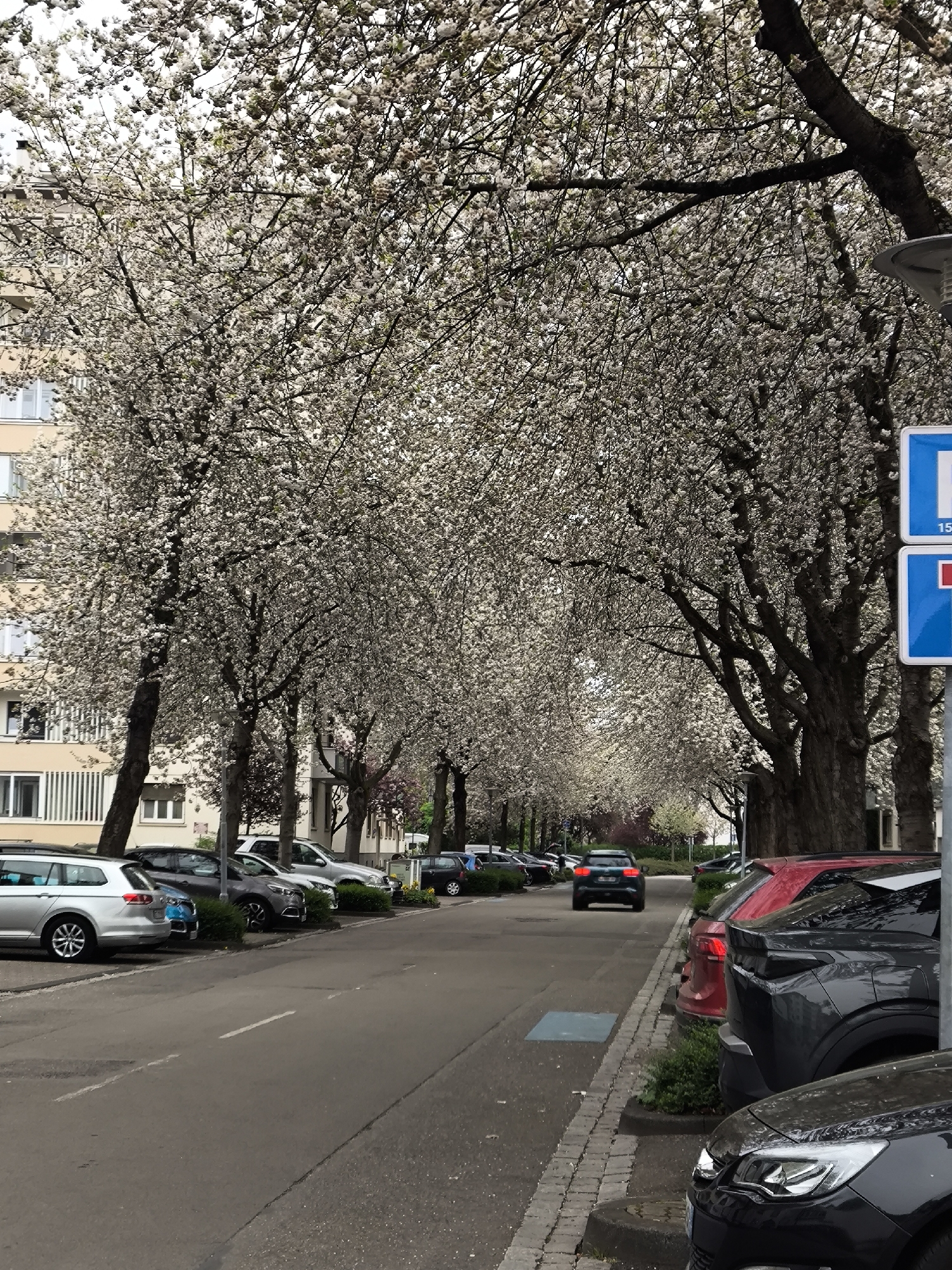 Young man documents afternoon walk through Strasbourg streets