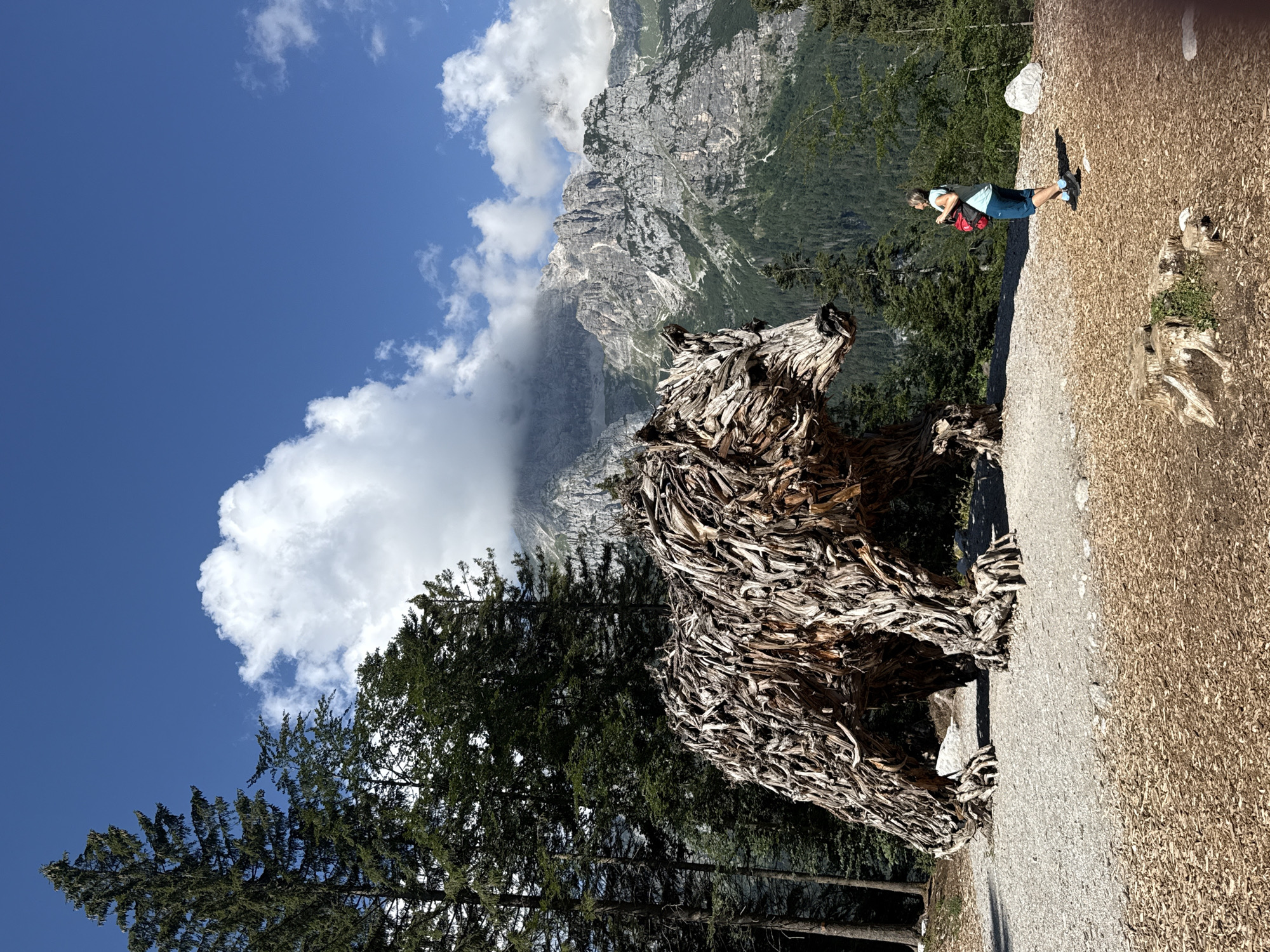 Wooden bear sculpture and log water trough in Molveno