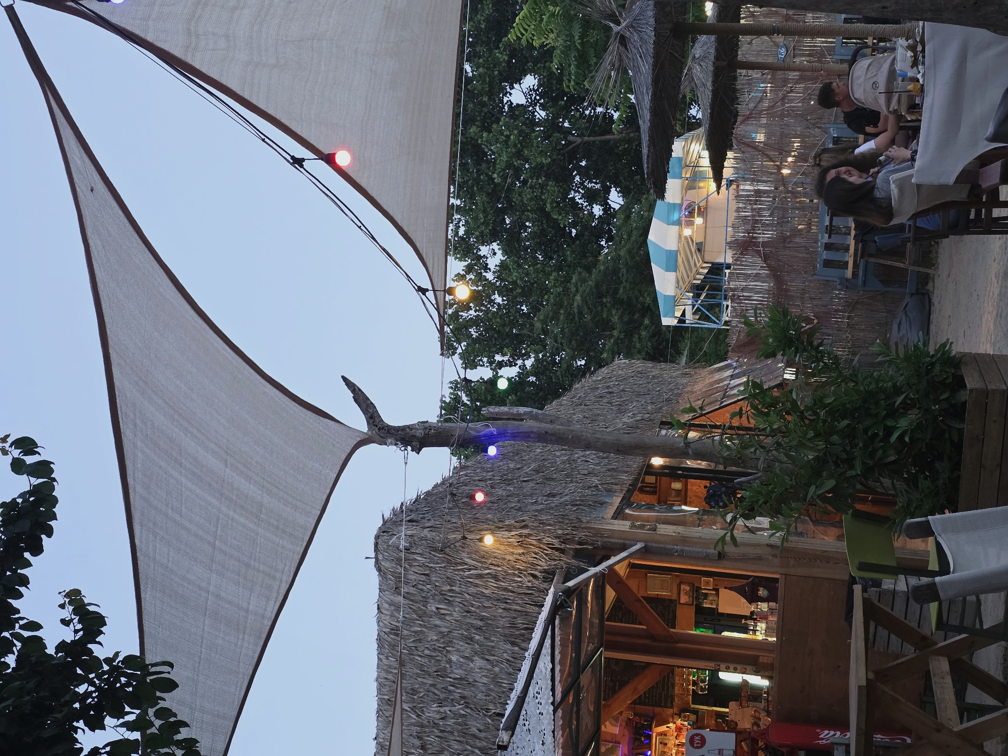 Summer night on Varna's Black Sea waterfront, cats and all