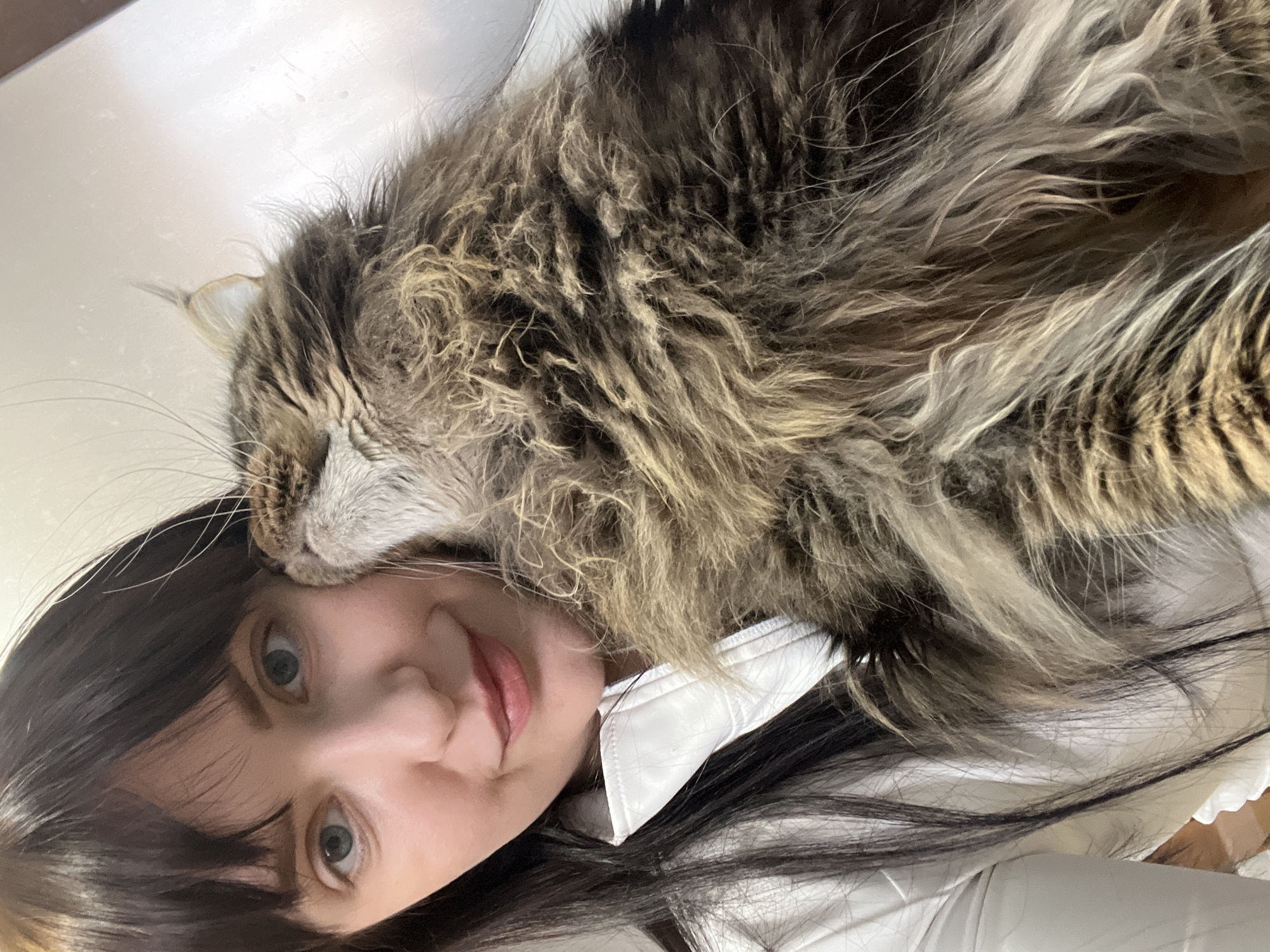 Woman takes selfies with Maine Coon cat in Russia
