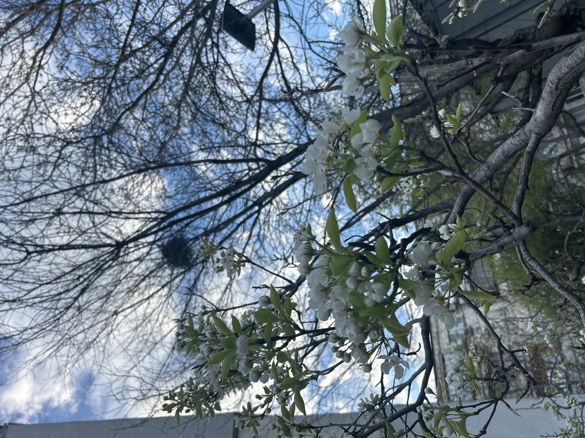 Spring scenes and daily life moments captured in Plovdiv