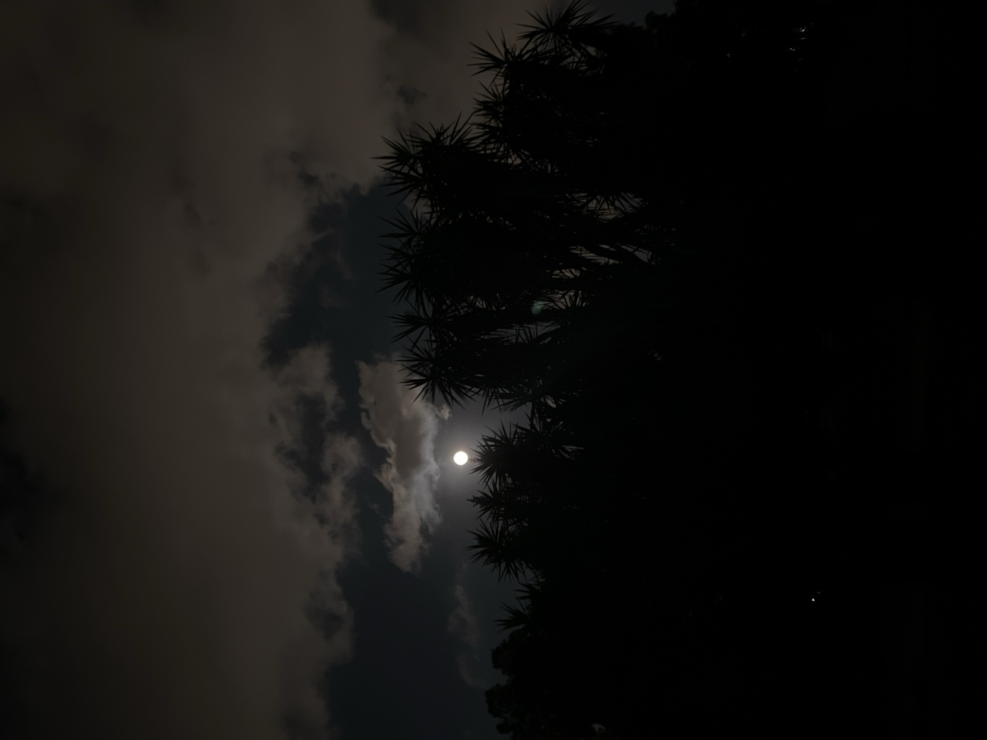 Full moon drifting through clouds over Palermo