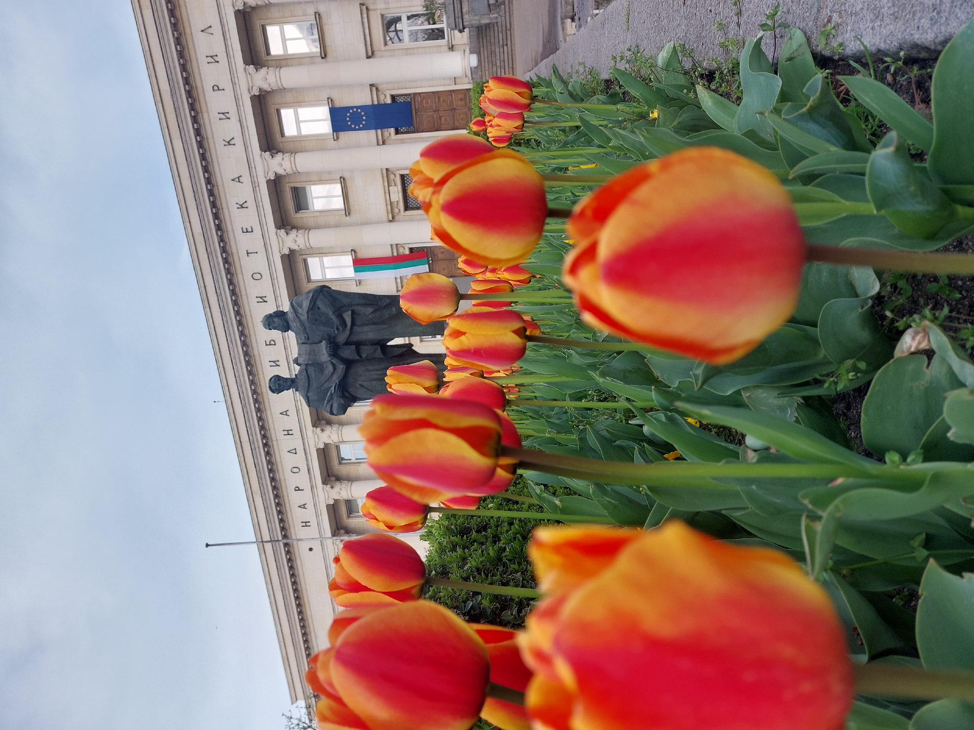 Spring tulips bloom around bronze statue in public square